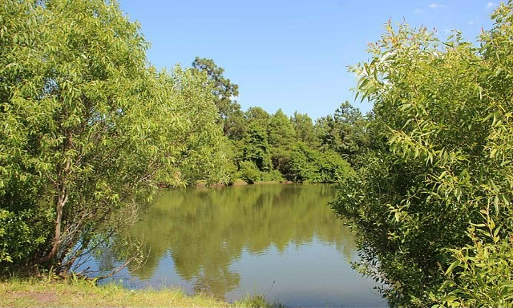 Batesburg-Leesville, SC Fishing: The Poultry Center of South Carolina