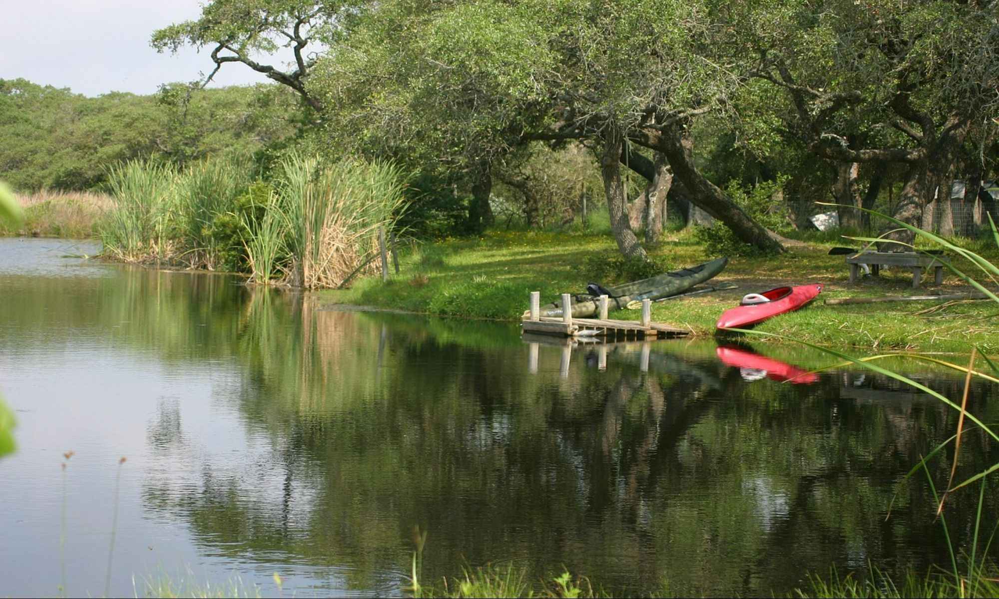 Bernice, LA Fishing: Experience Angling in a Sawmill Town