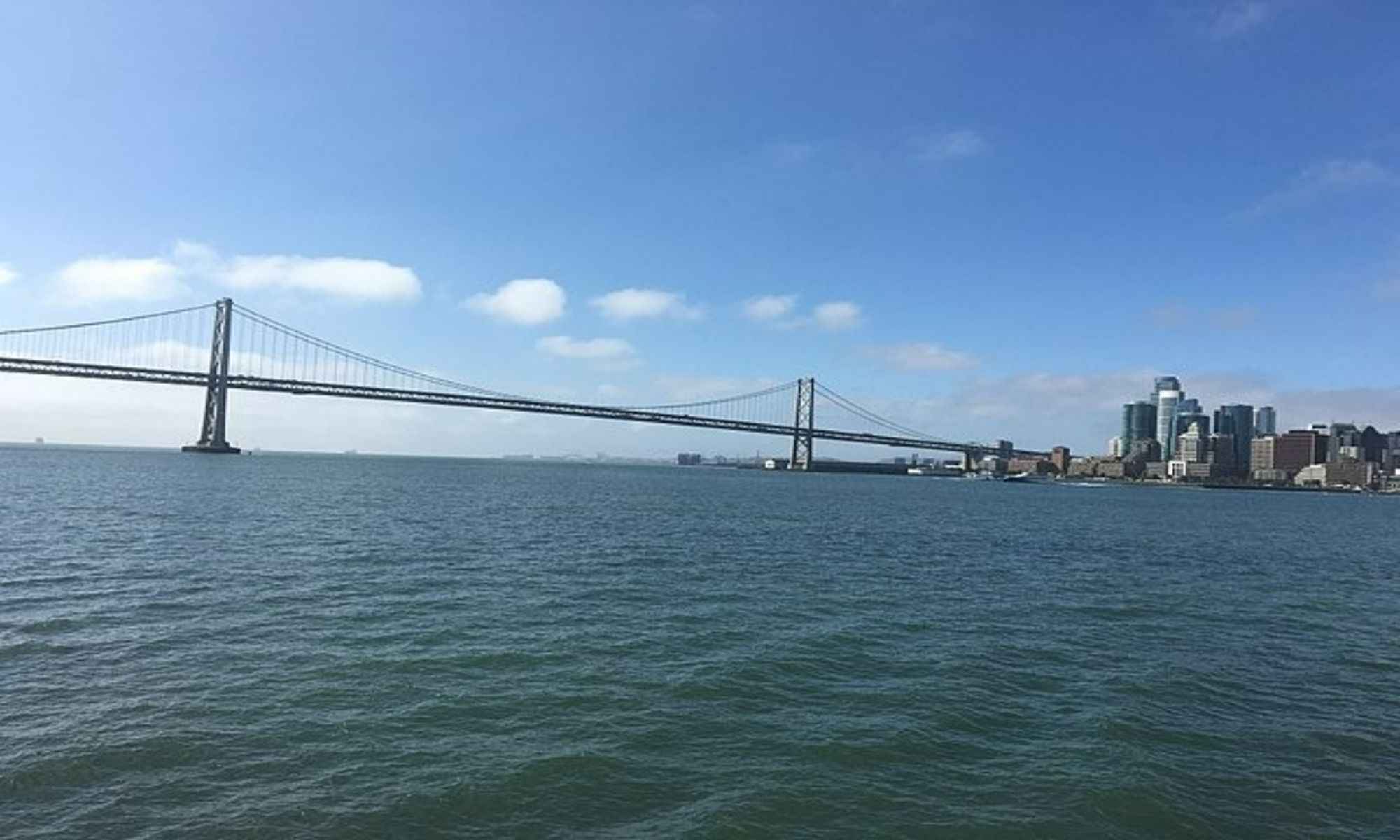 Book Your Fishing Charter in San Francisco Bay, CA