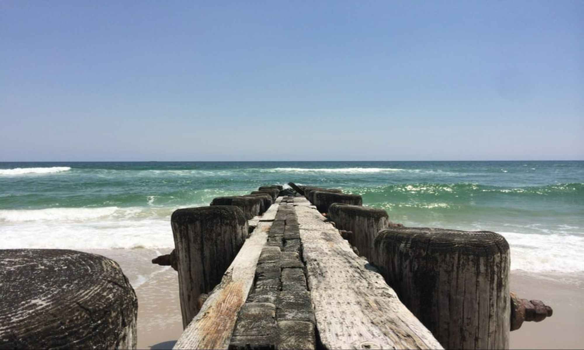 Newport, NC Fishing: Nature's Awe-Inspiring Beauty