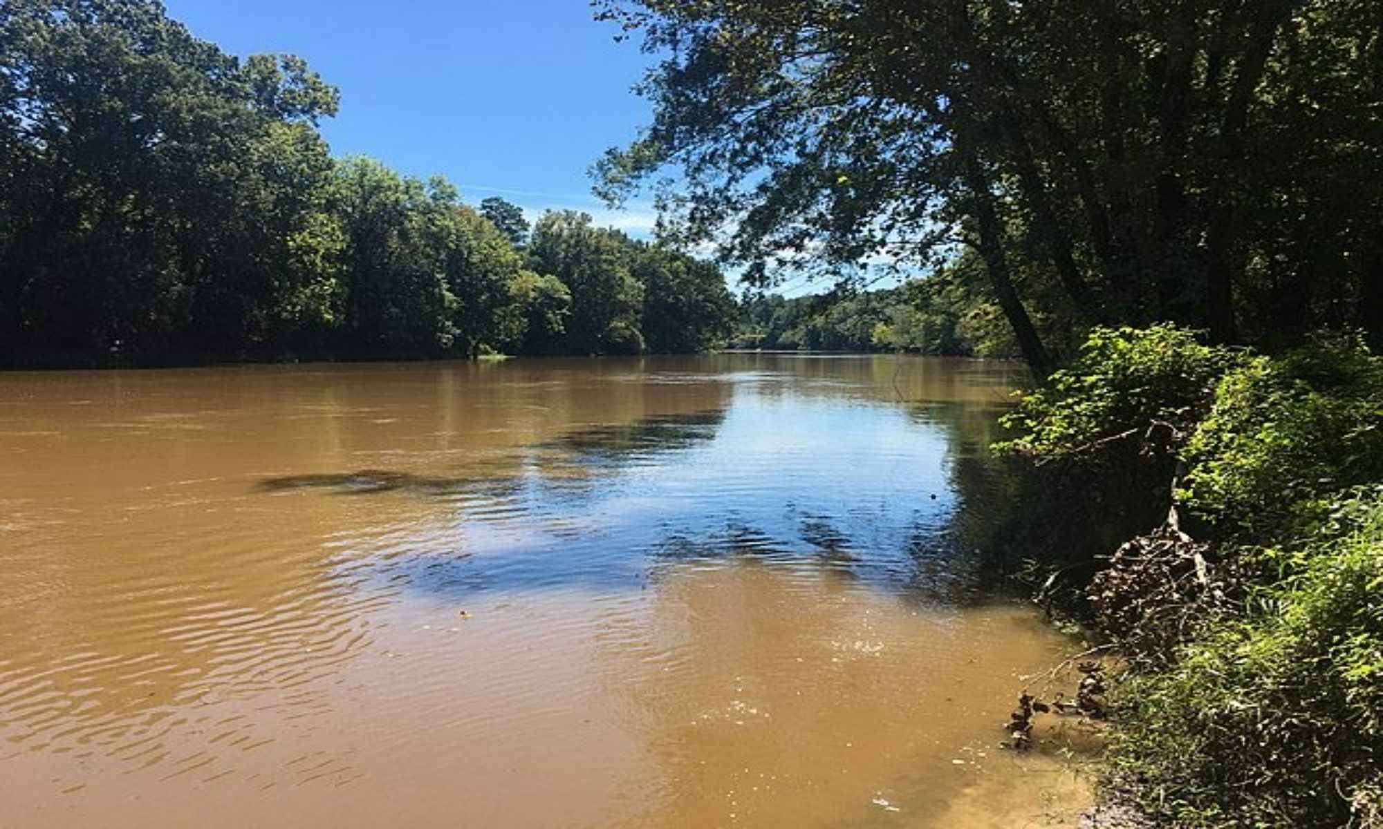 Greenville, NC Fishing: Fishing in the Midst Greens