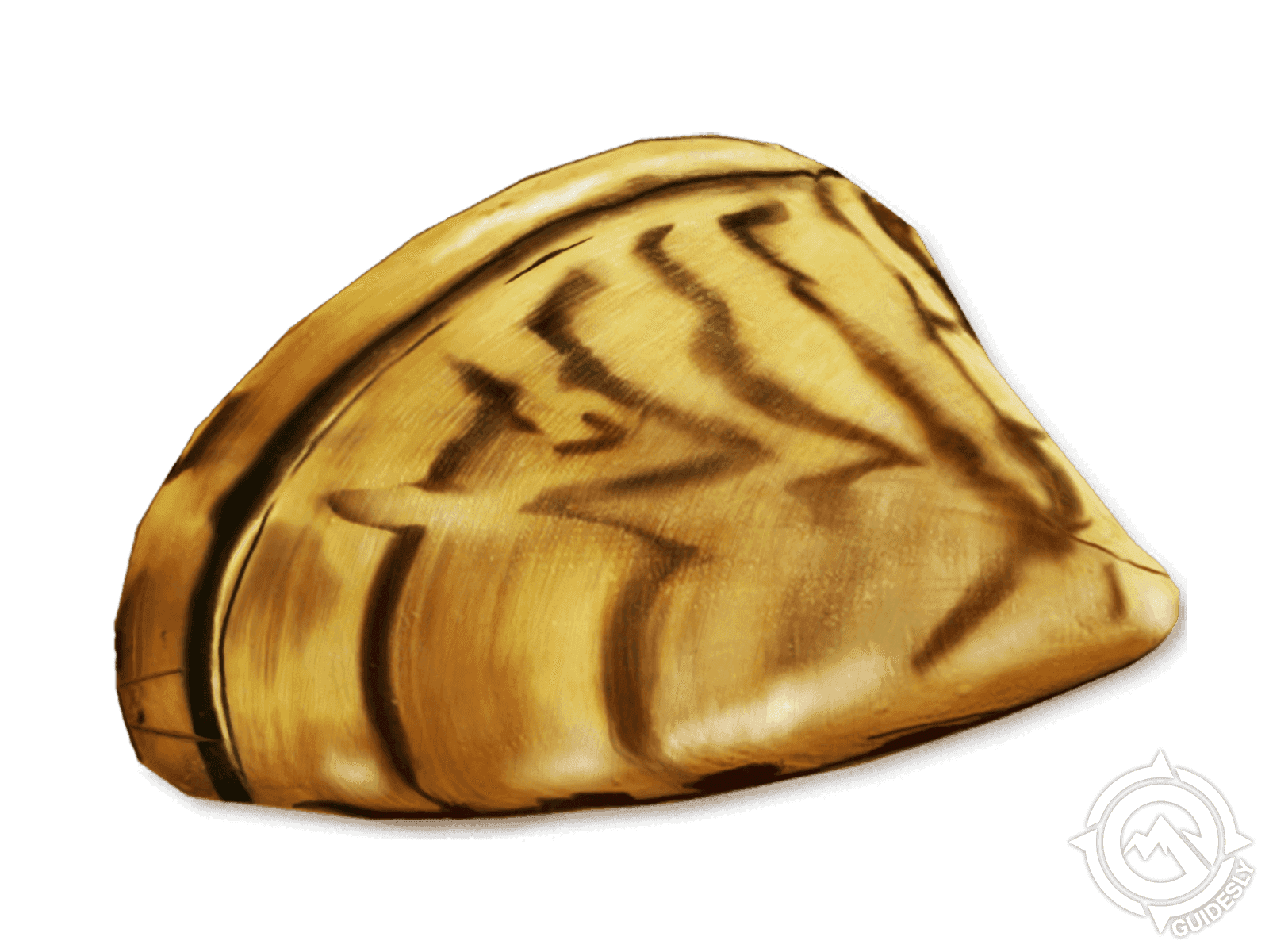 Zebra Mussel