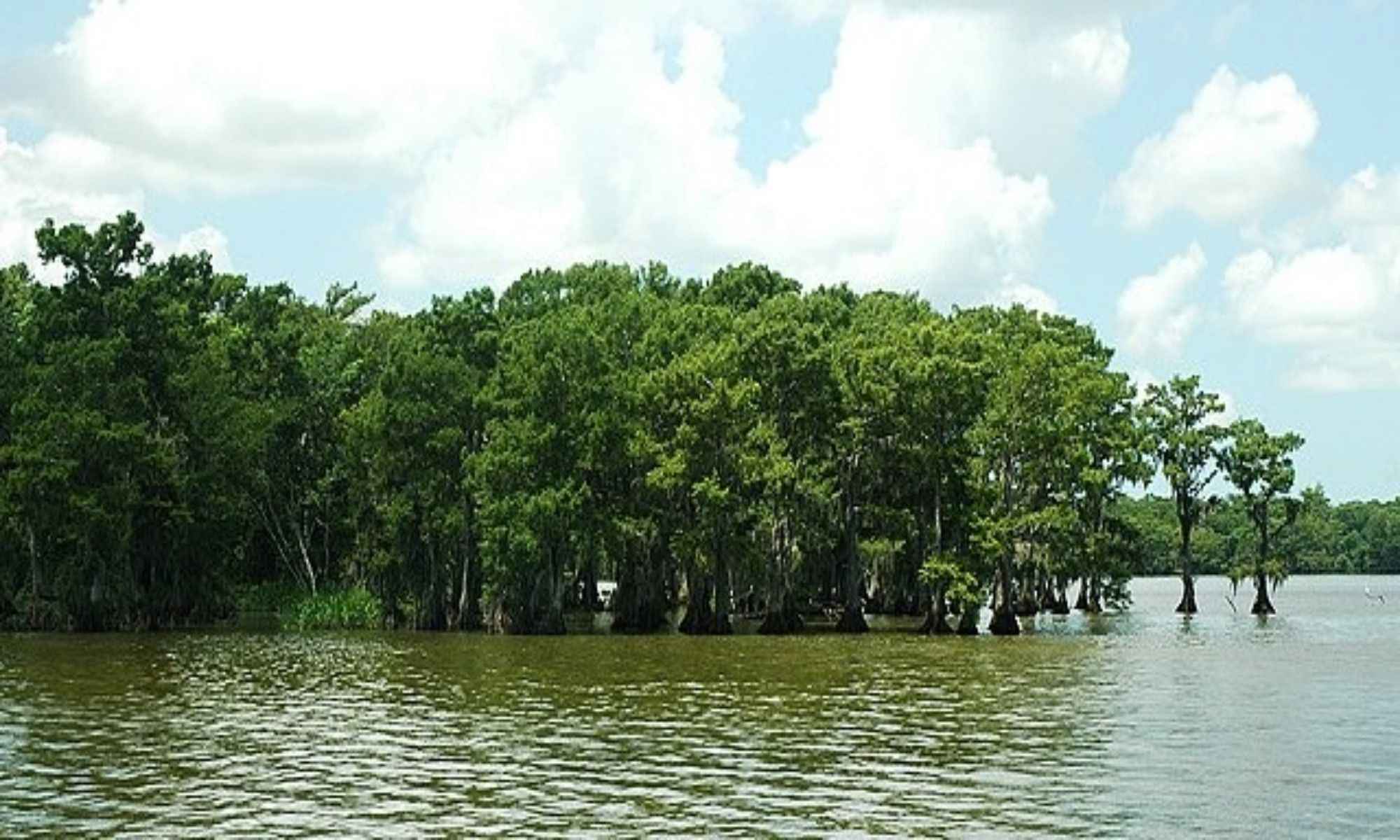 Book Your Fishing Charter in Church Point, LA
