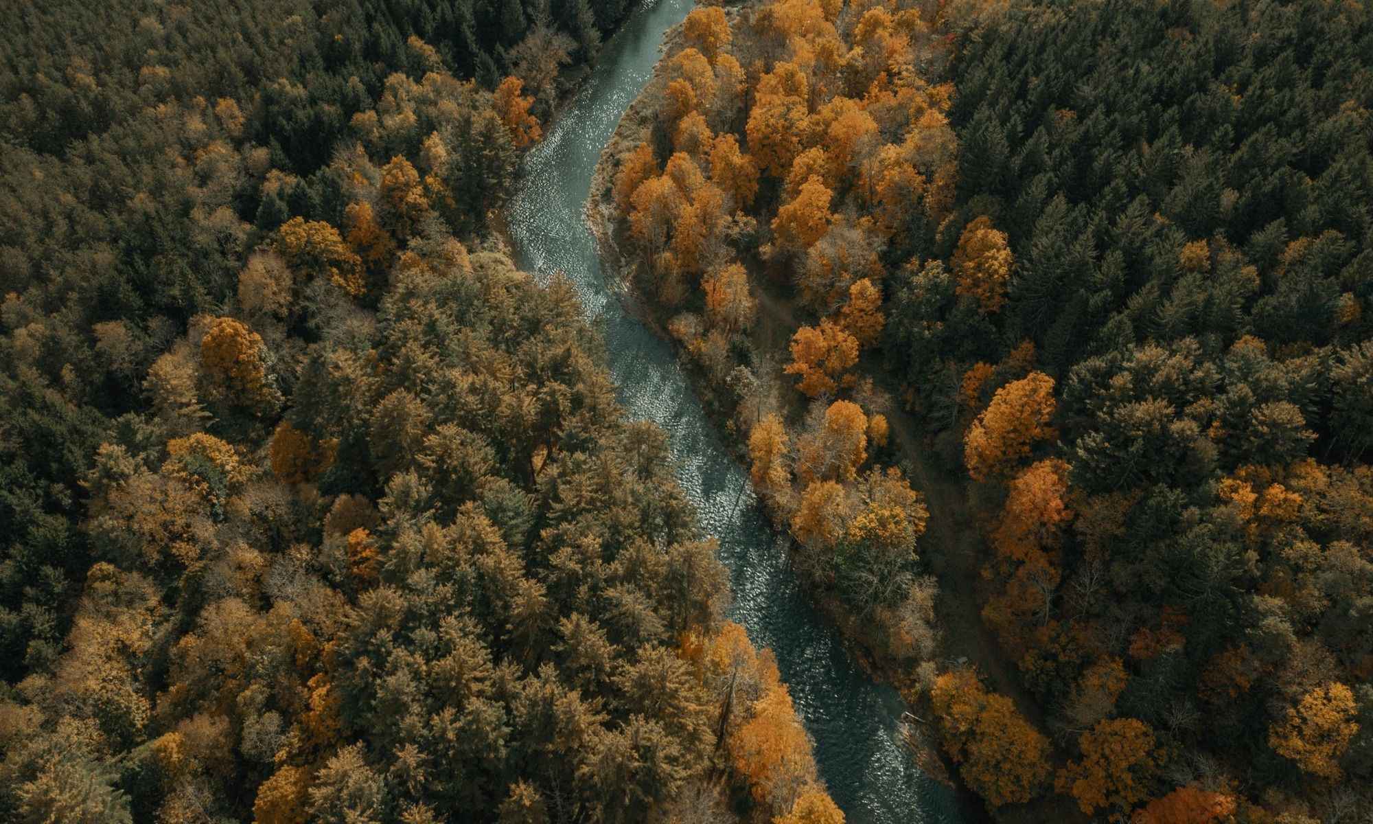 Livingston Manor, NY Fishing: The Birthplace of Fly Fishing in America