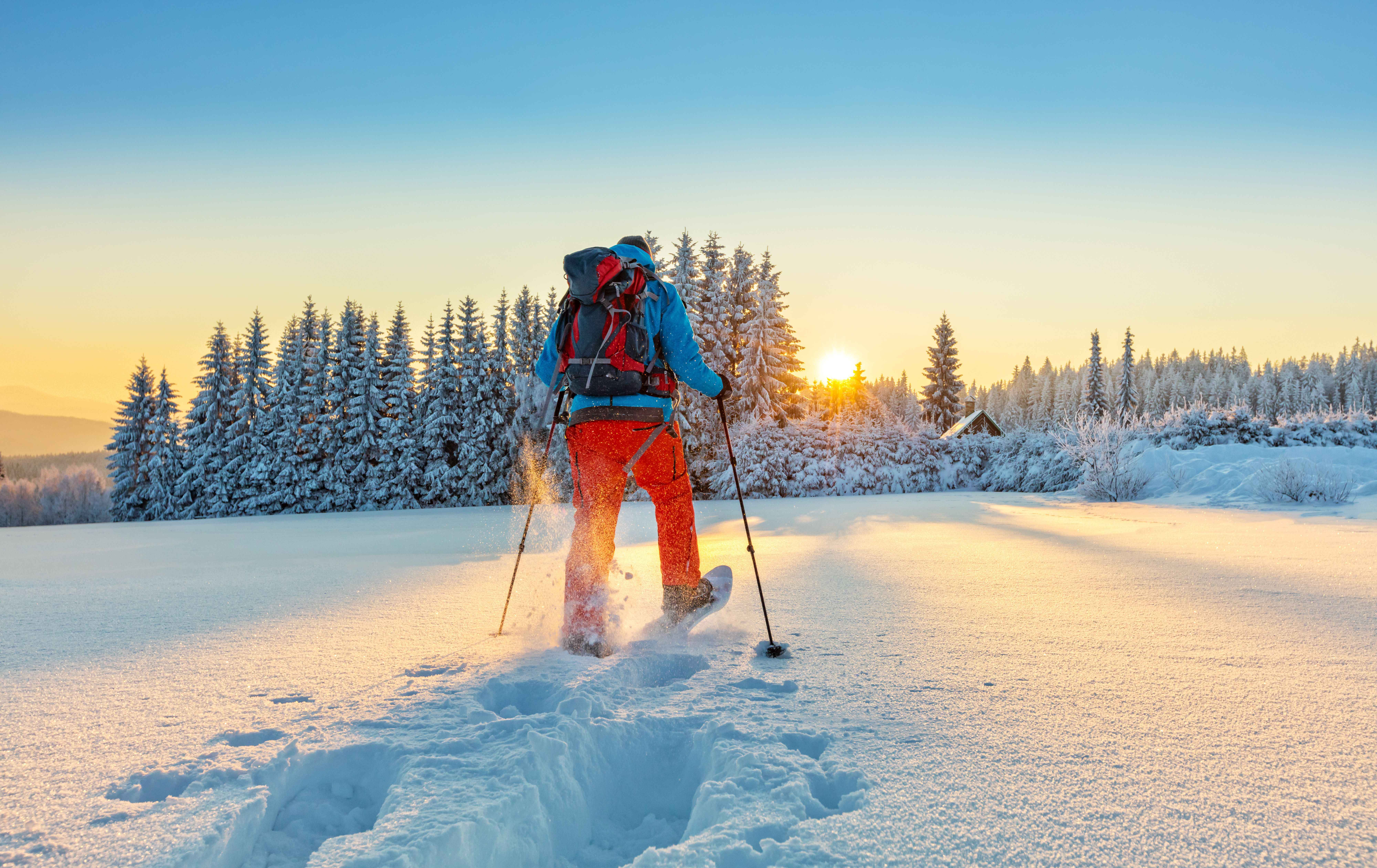 How to Become a Snowshoe Guide