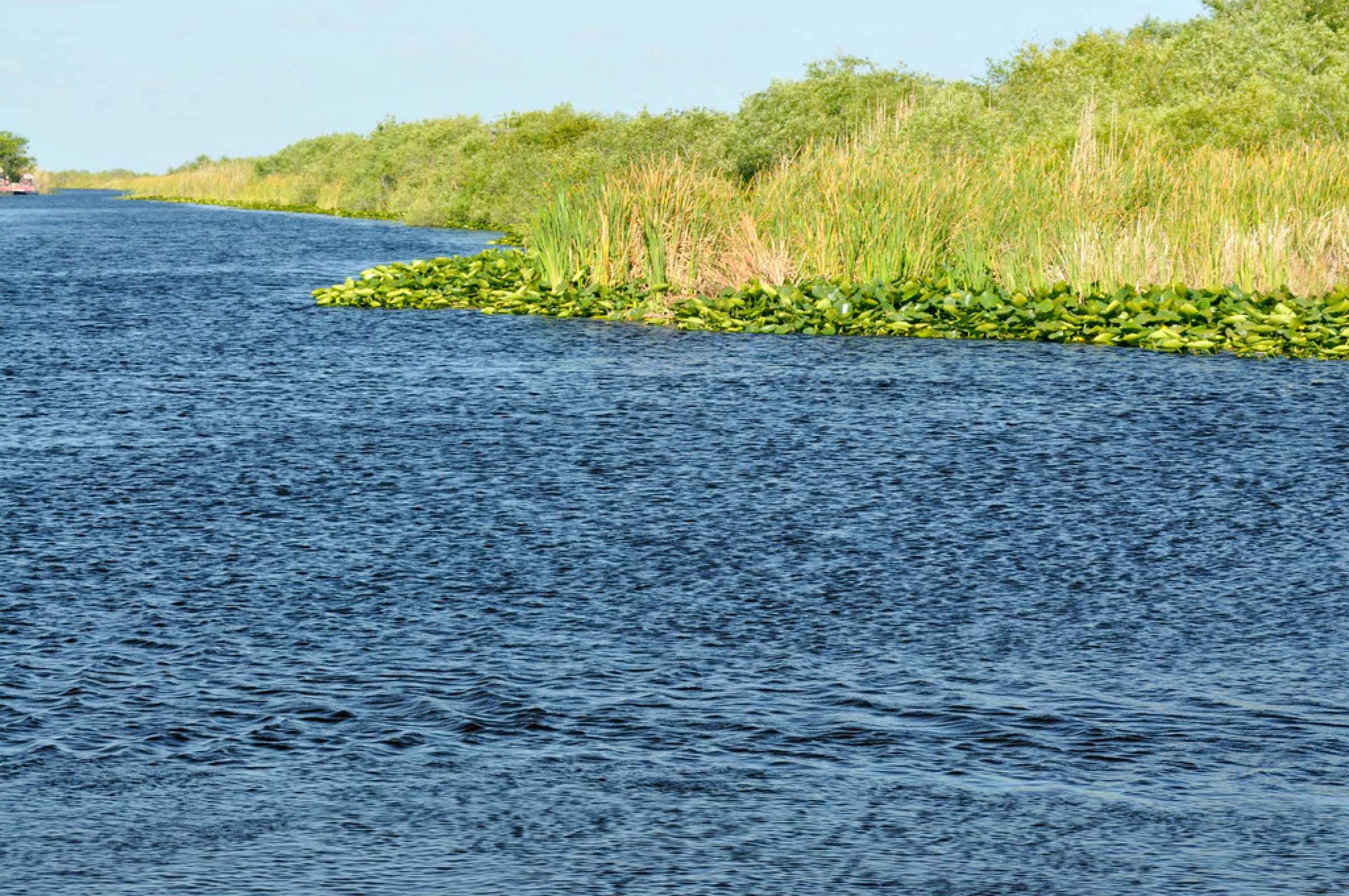 South Bay, FL Fishing: Crossroads Angling