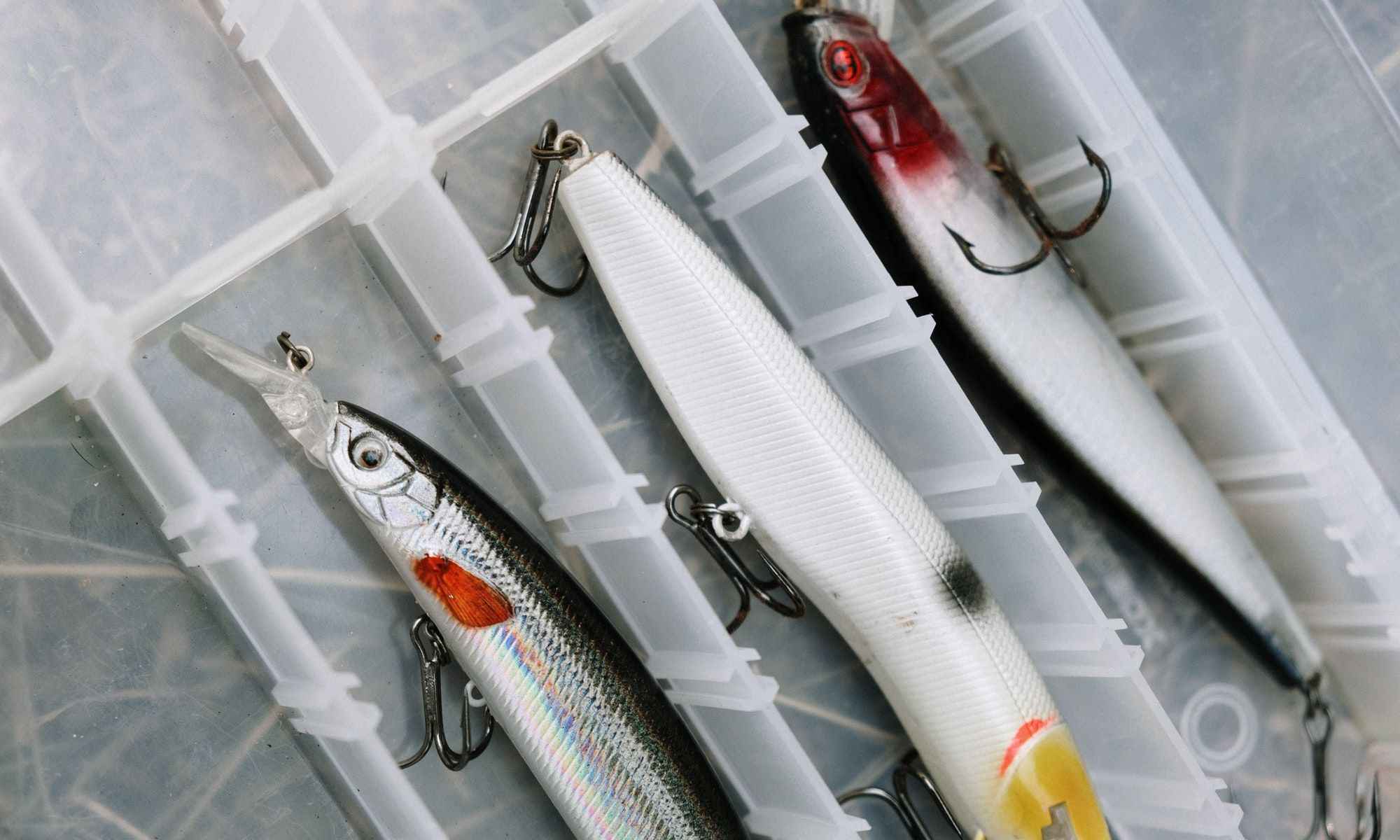 How to Use These 4 Big Baits to Catch Big Bass