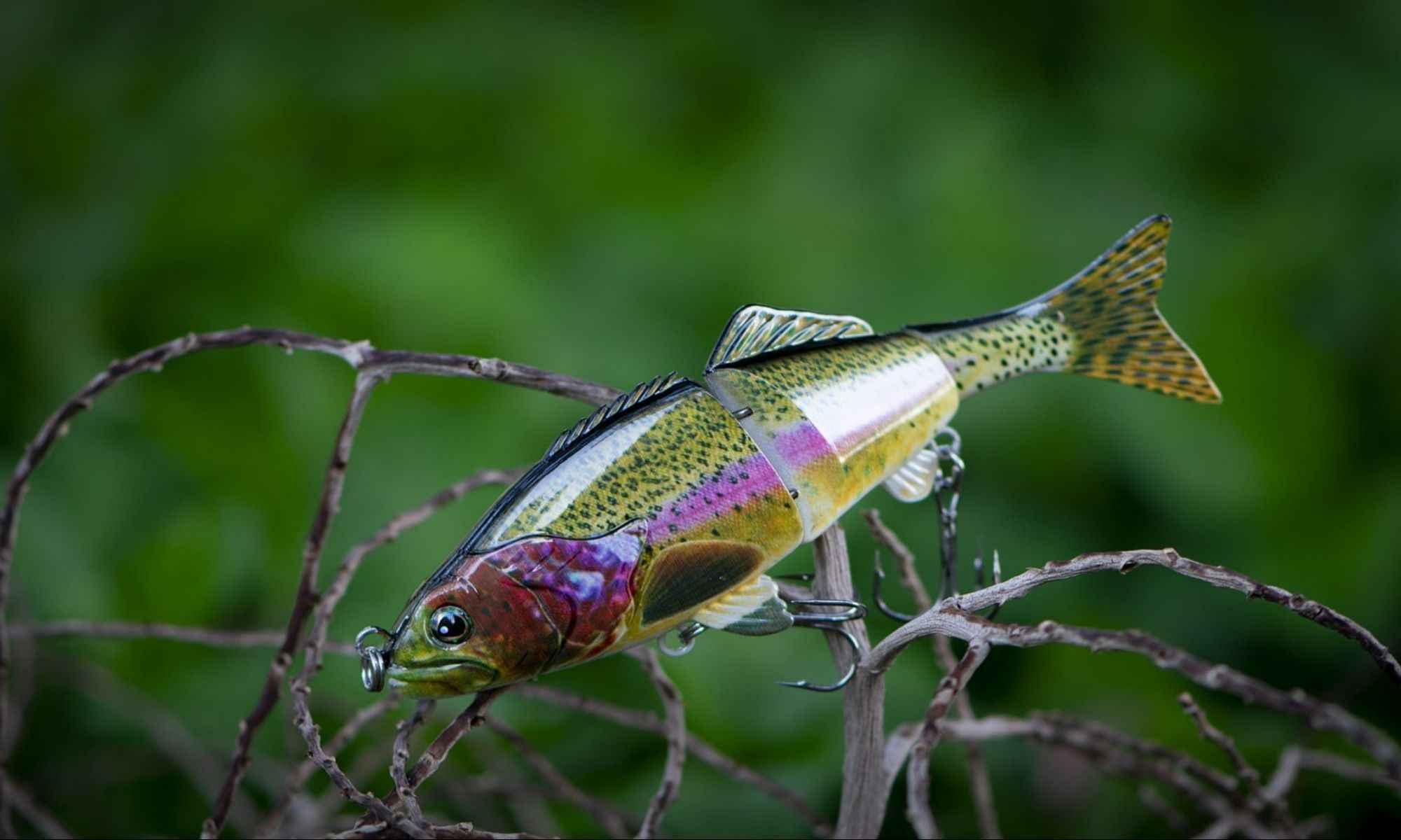 Soft Plastic Fishing Lures: Choosing the Best Ones for Bass