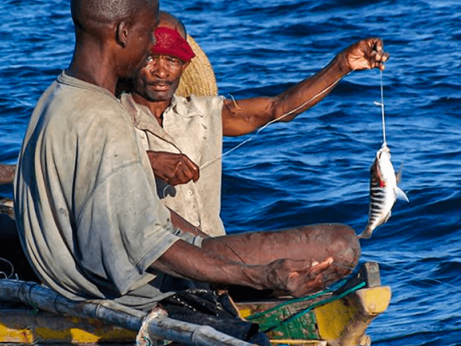Handline Fishing