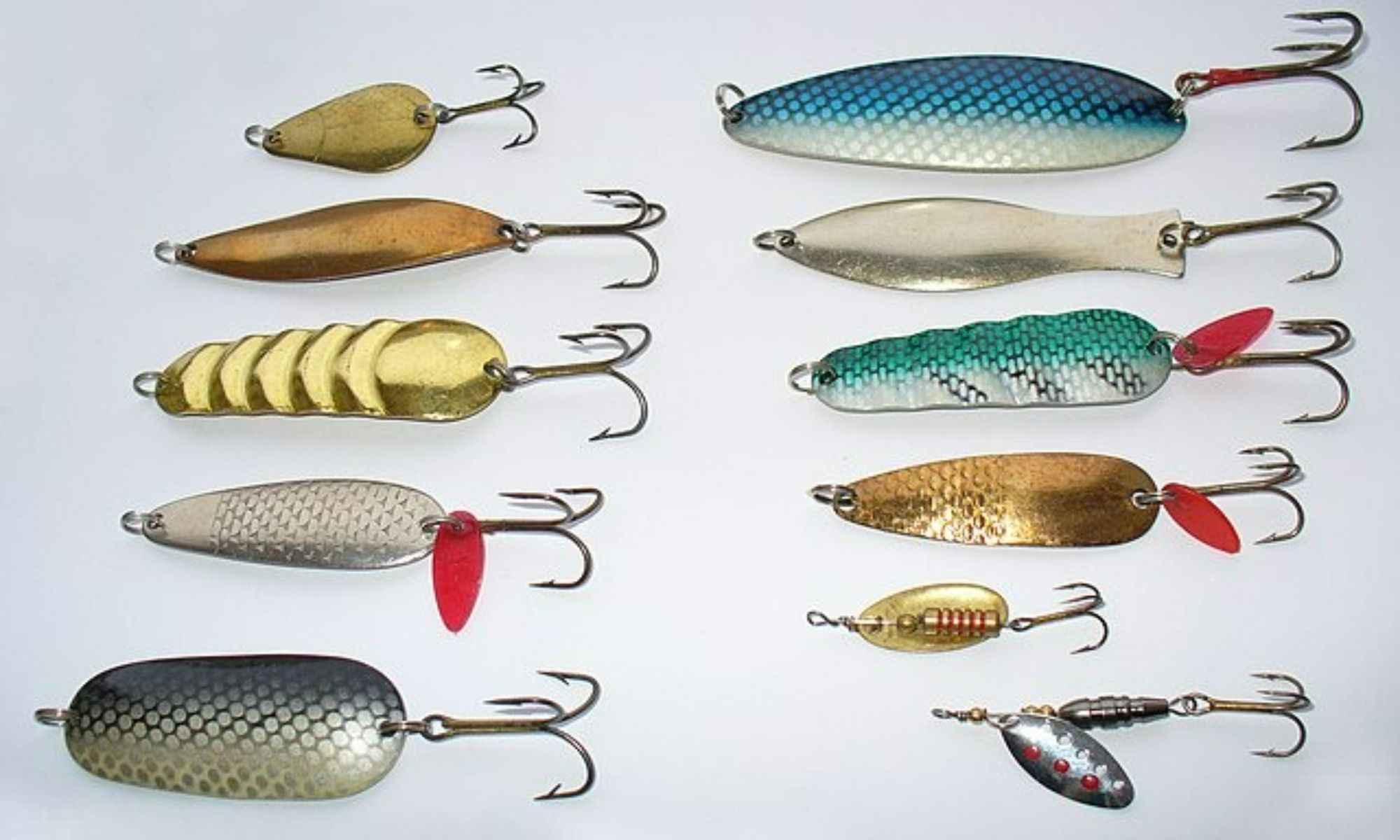 Top 5 Most Spoon-Bait Fish