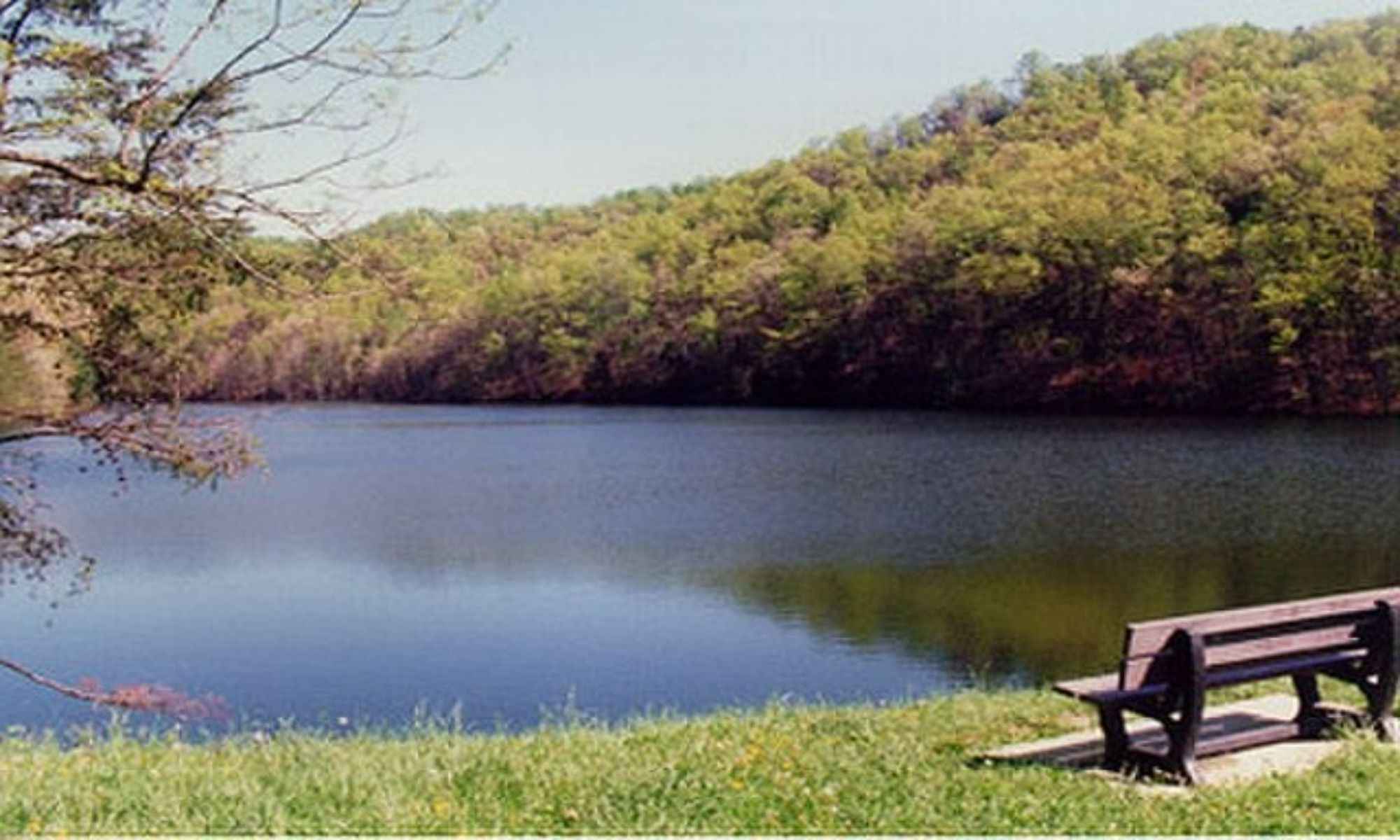 Book Your Fishing Charter in Morehead, NC