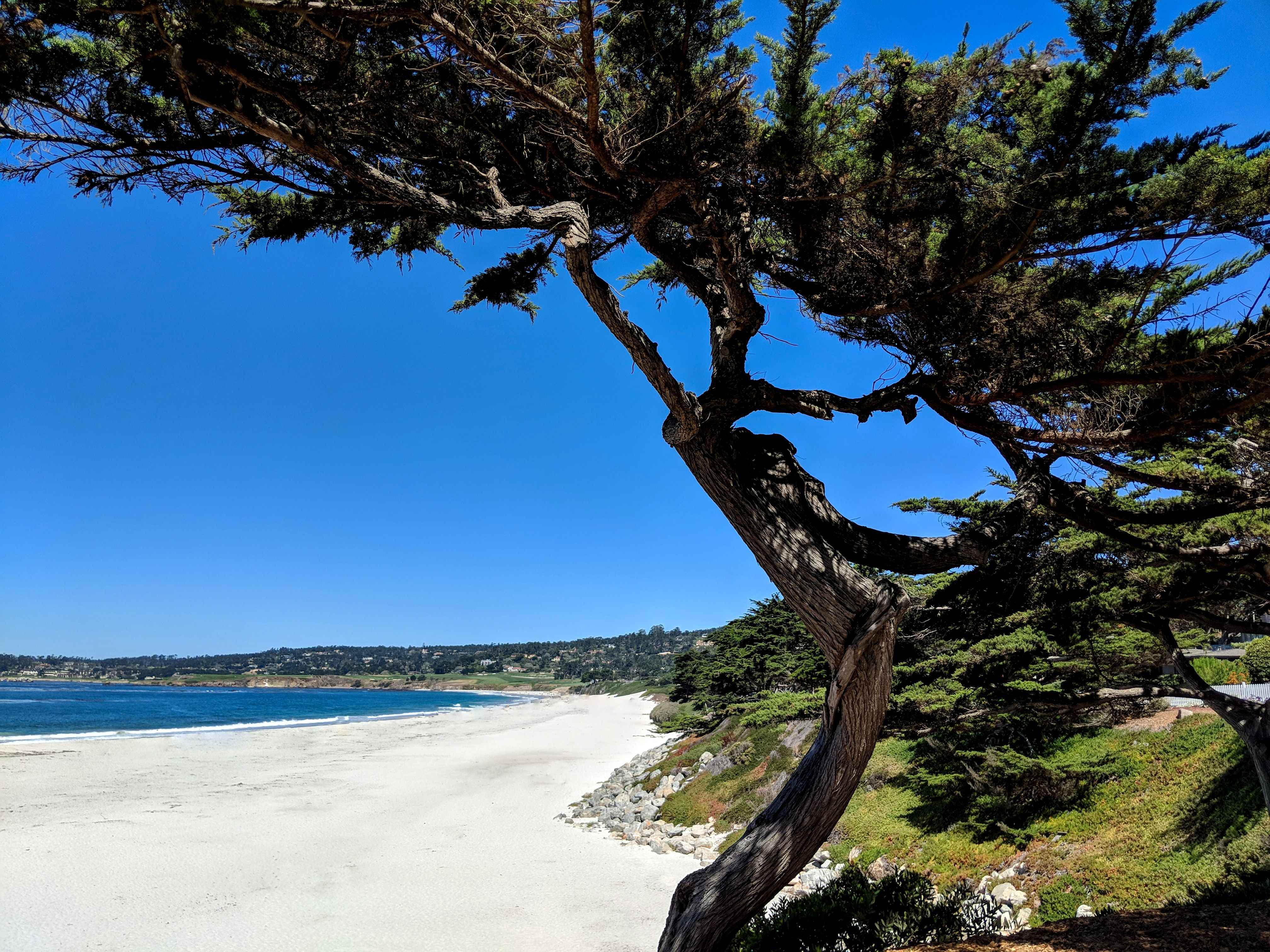 Carmel-by-the-Sea, CA Fishing: Natural Scenery and Artistic History