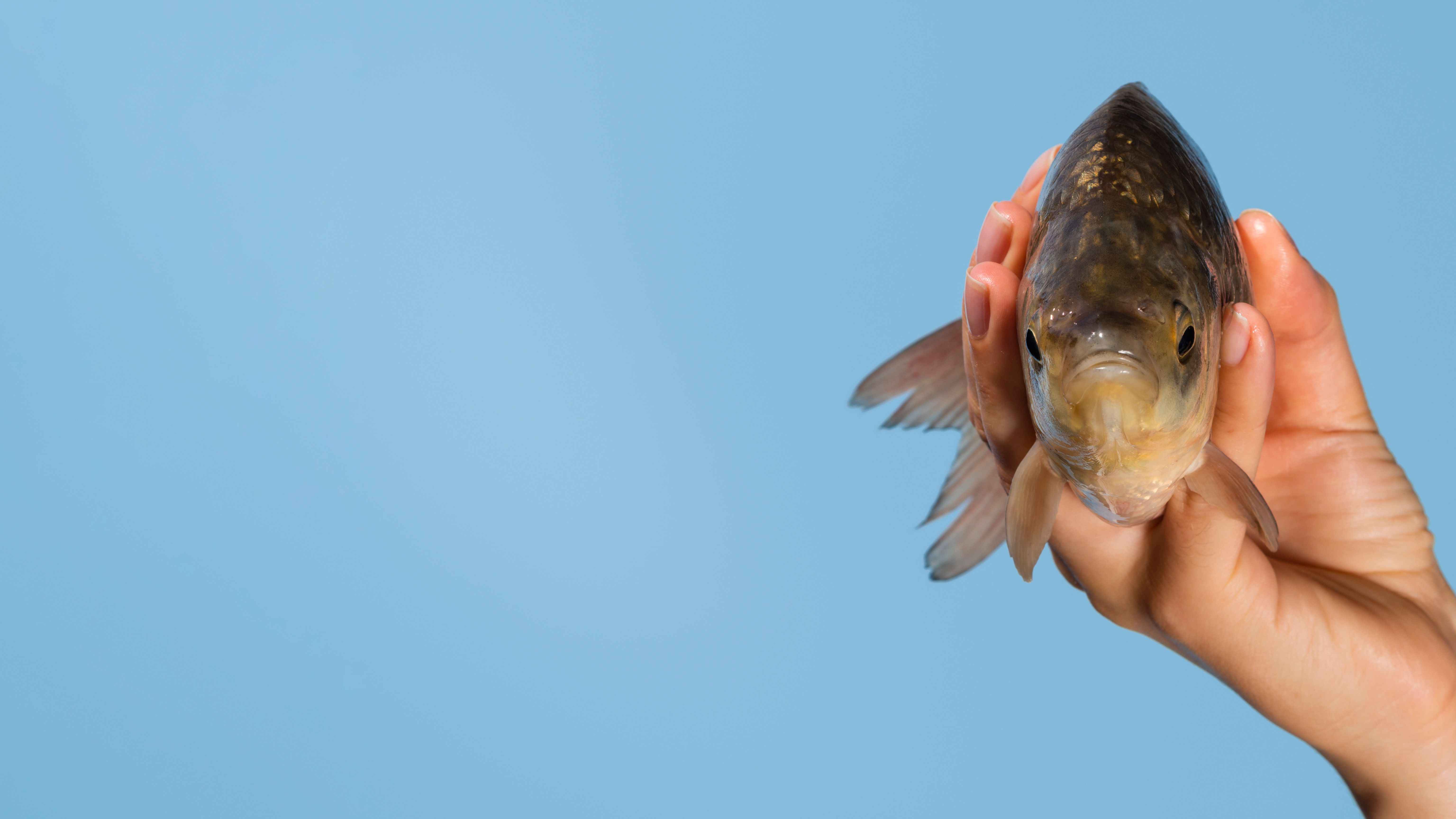 Trophy Fish Species: Why Guided Trips Increase Your Odds
