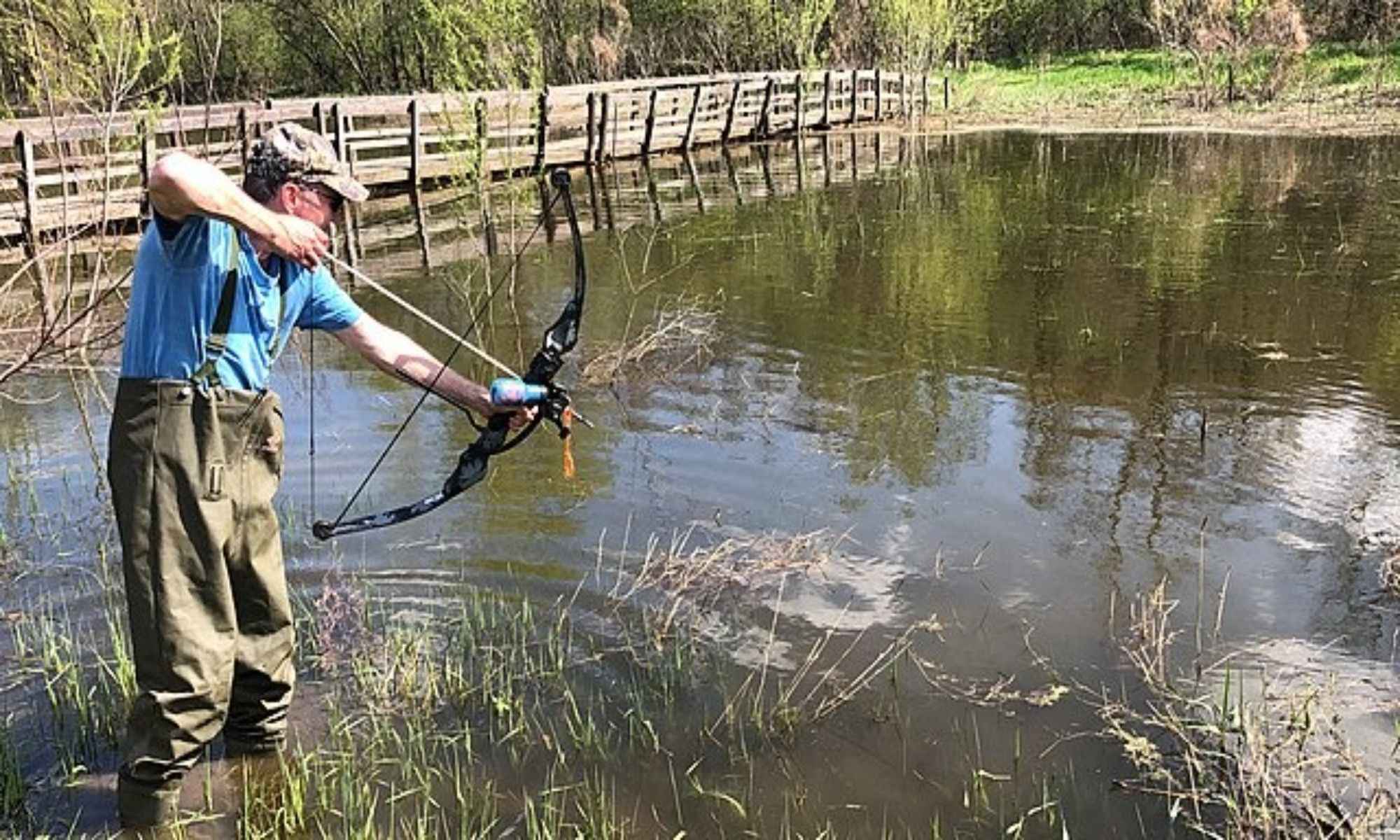 A Beginner's Guide to Bow Fishing: Everything You Need to Know