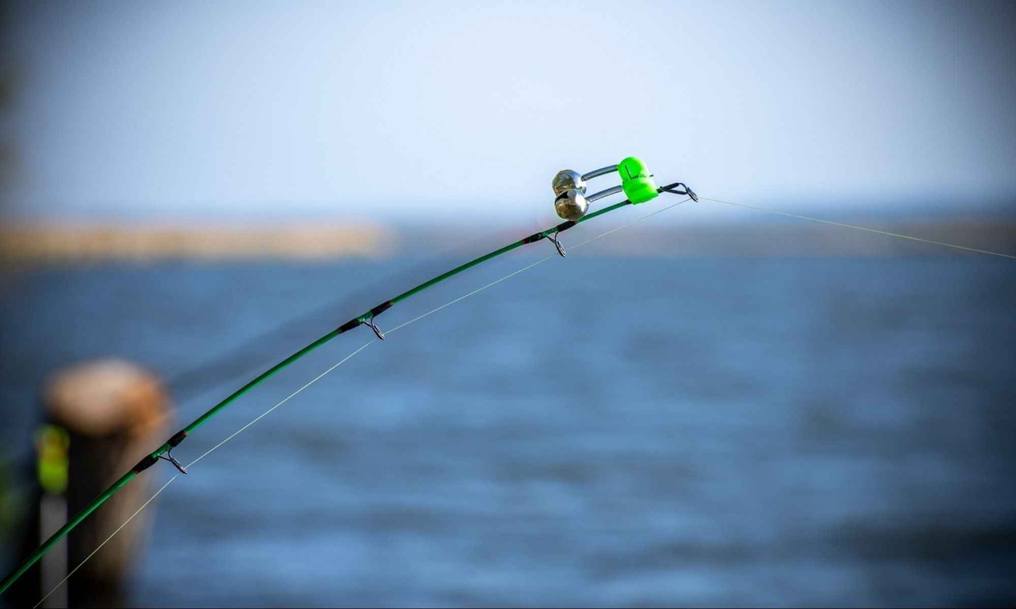 Net, Pole and Line Fishing: Which Is Better