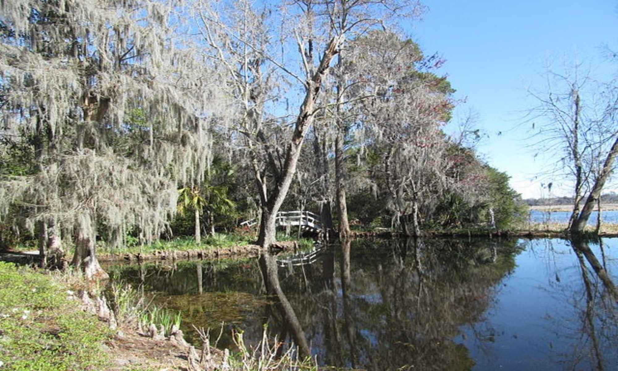 Clio, SC Fishing: Rural Lake and River Fishing in a Historic Town