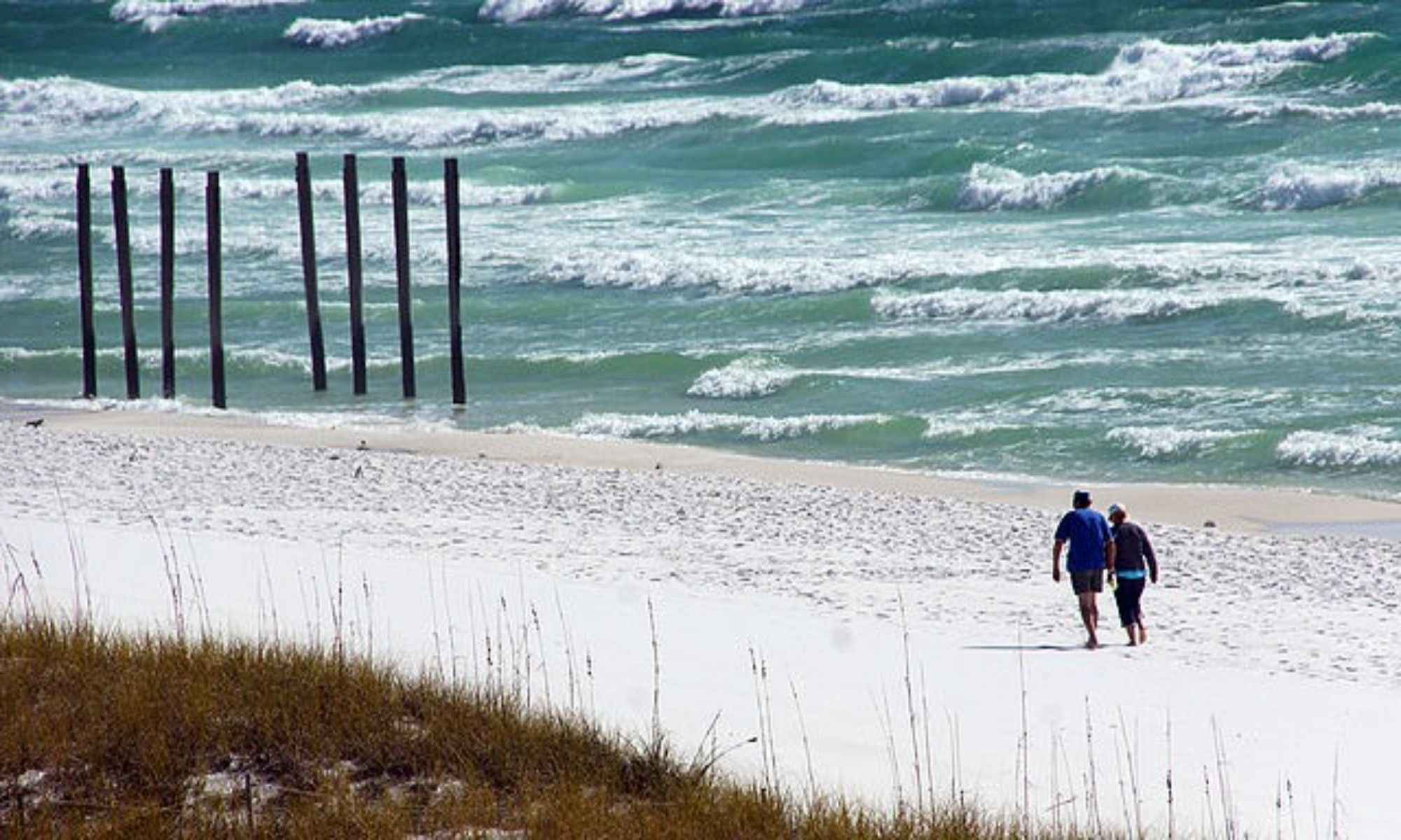 Tips & Techniques for Capturing Sharks in Destin