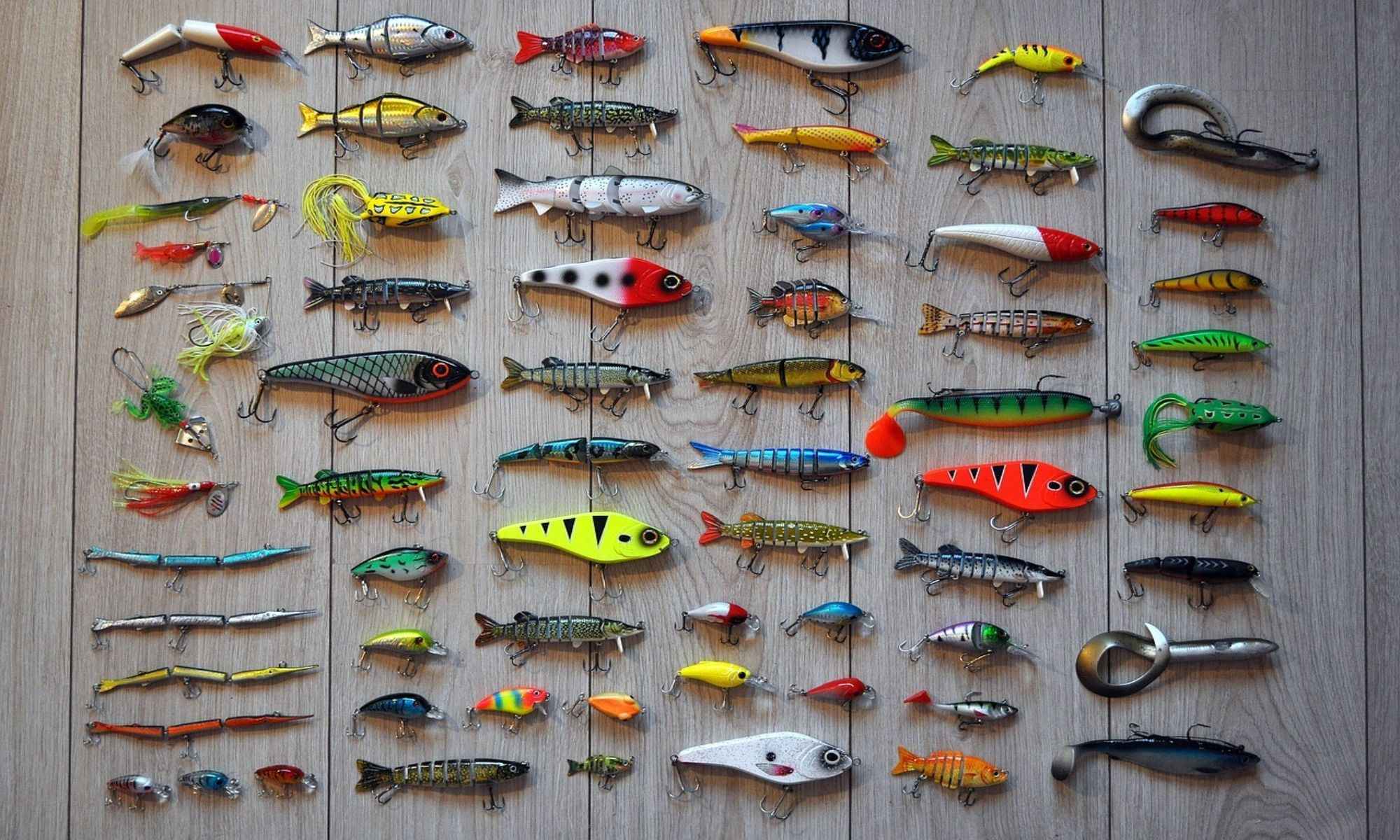 Search Baits: How to Use Them to Find Bass Successfully