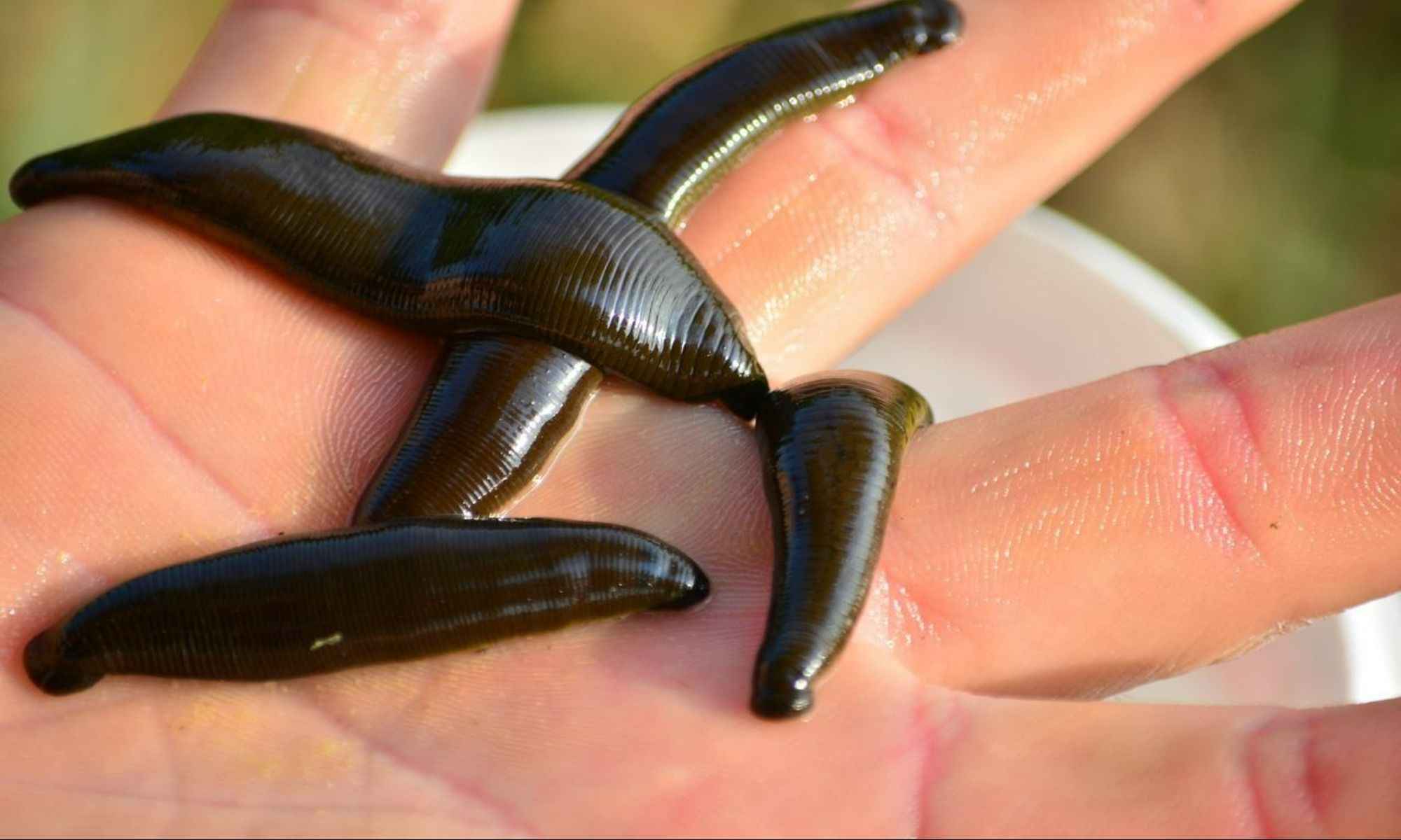 How to Fly Fish with Leech Patterns