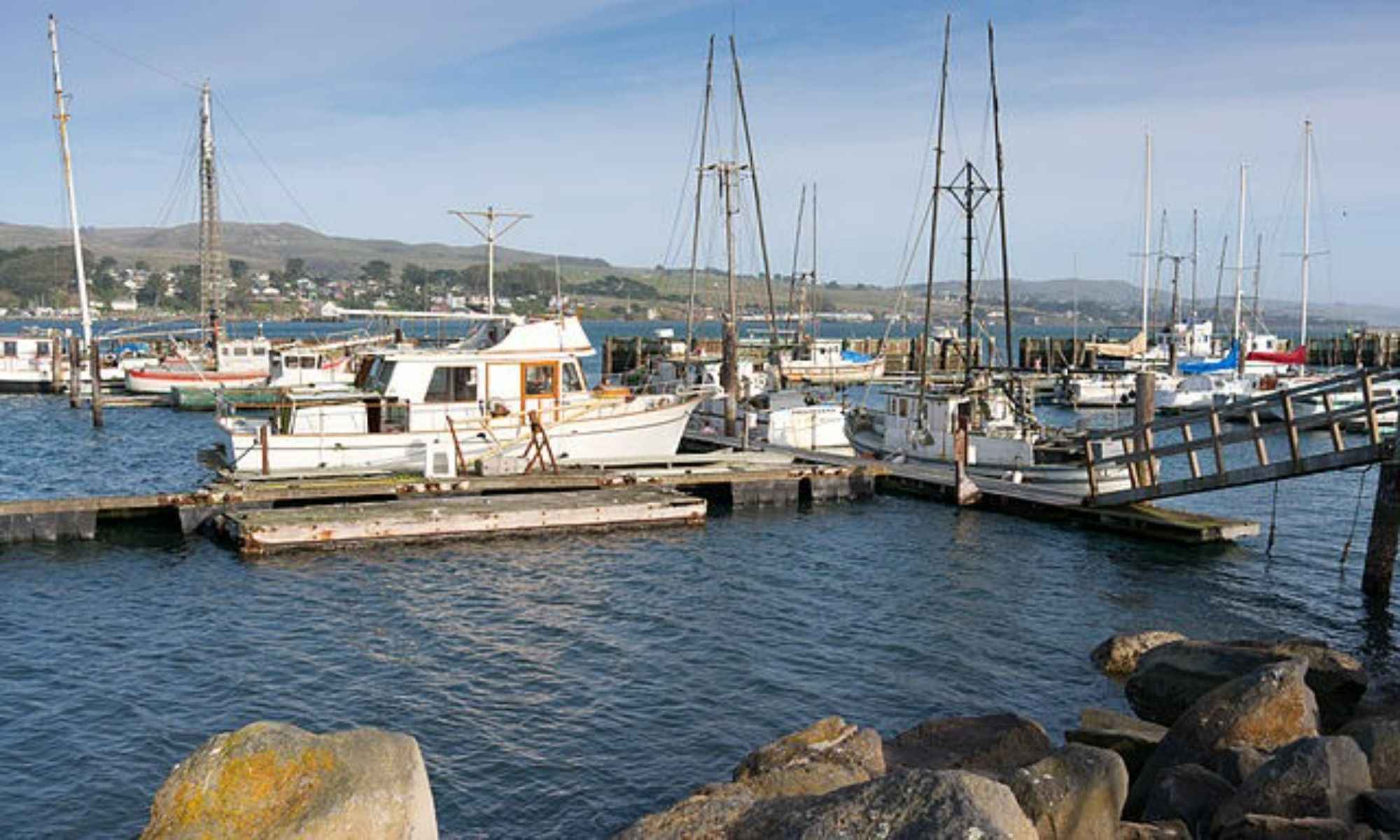 Book a Fishing Charter in Bodega Bay, CA