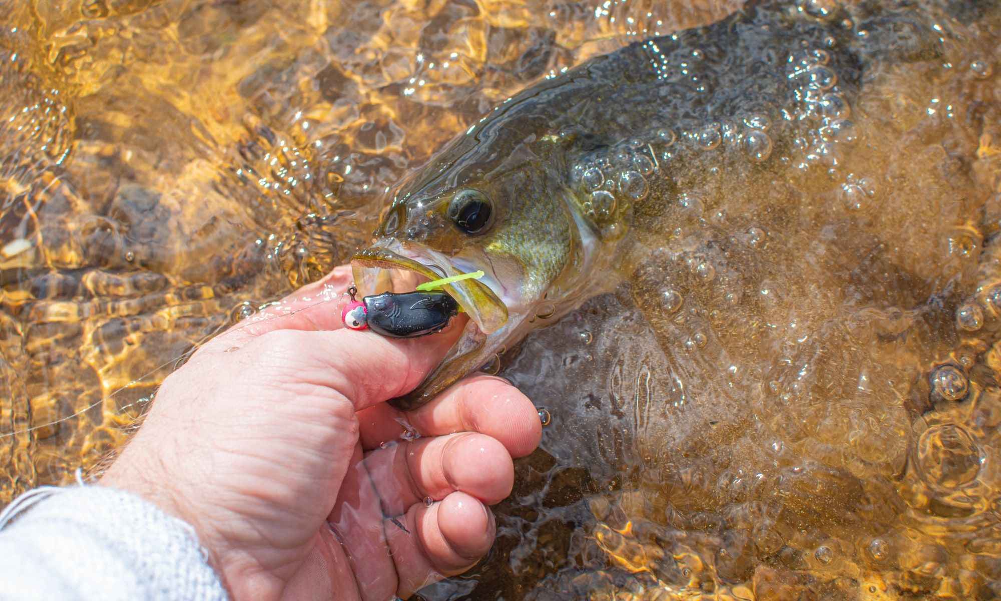 What Bass Fishermen Should Know About New Lures