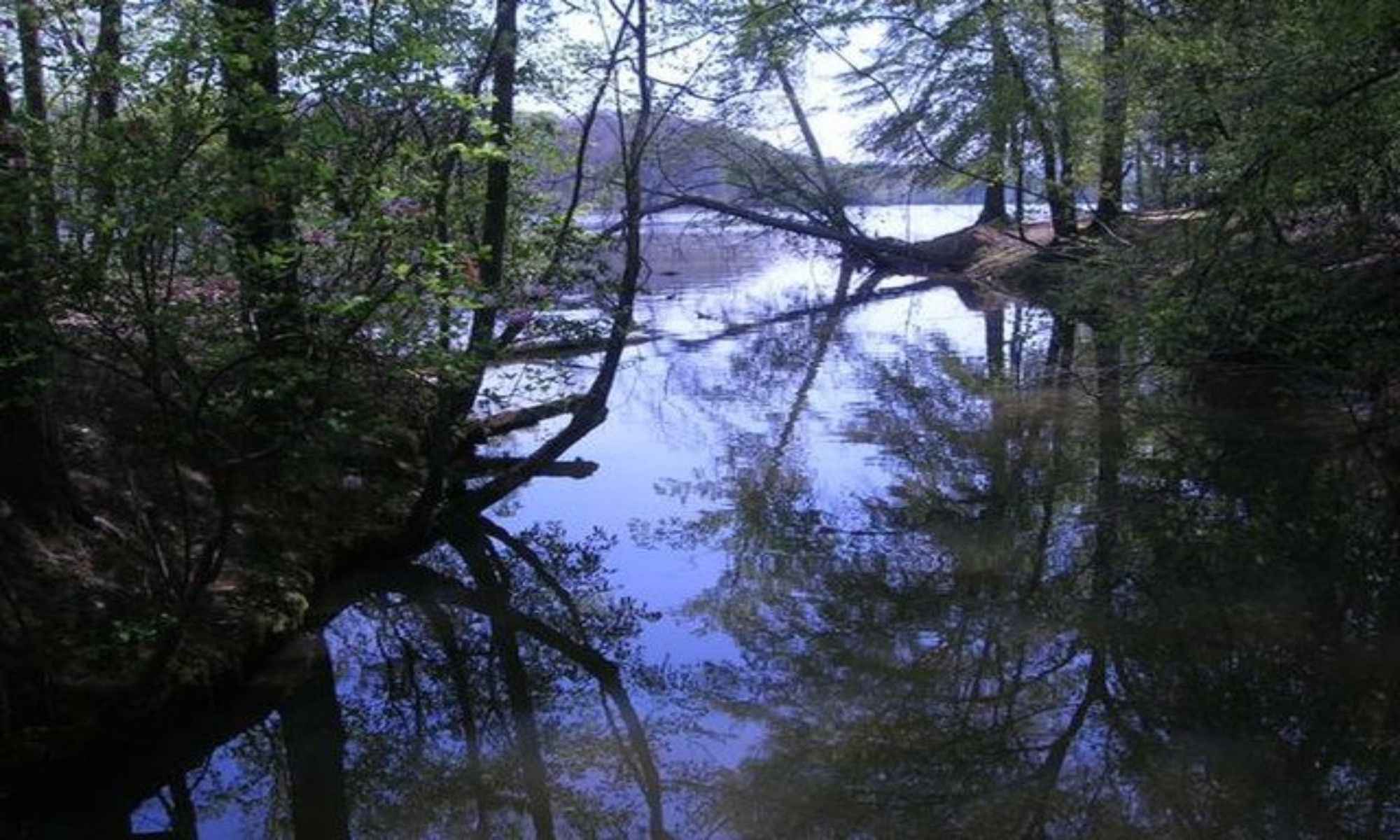 Matthews, NC Fishing: Breathtaking Small-town Atmosphere