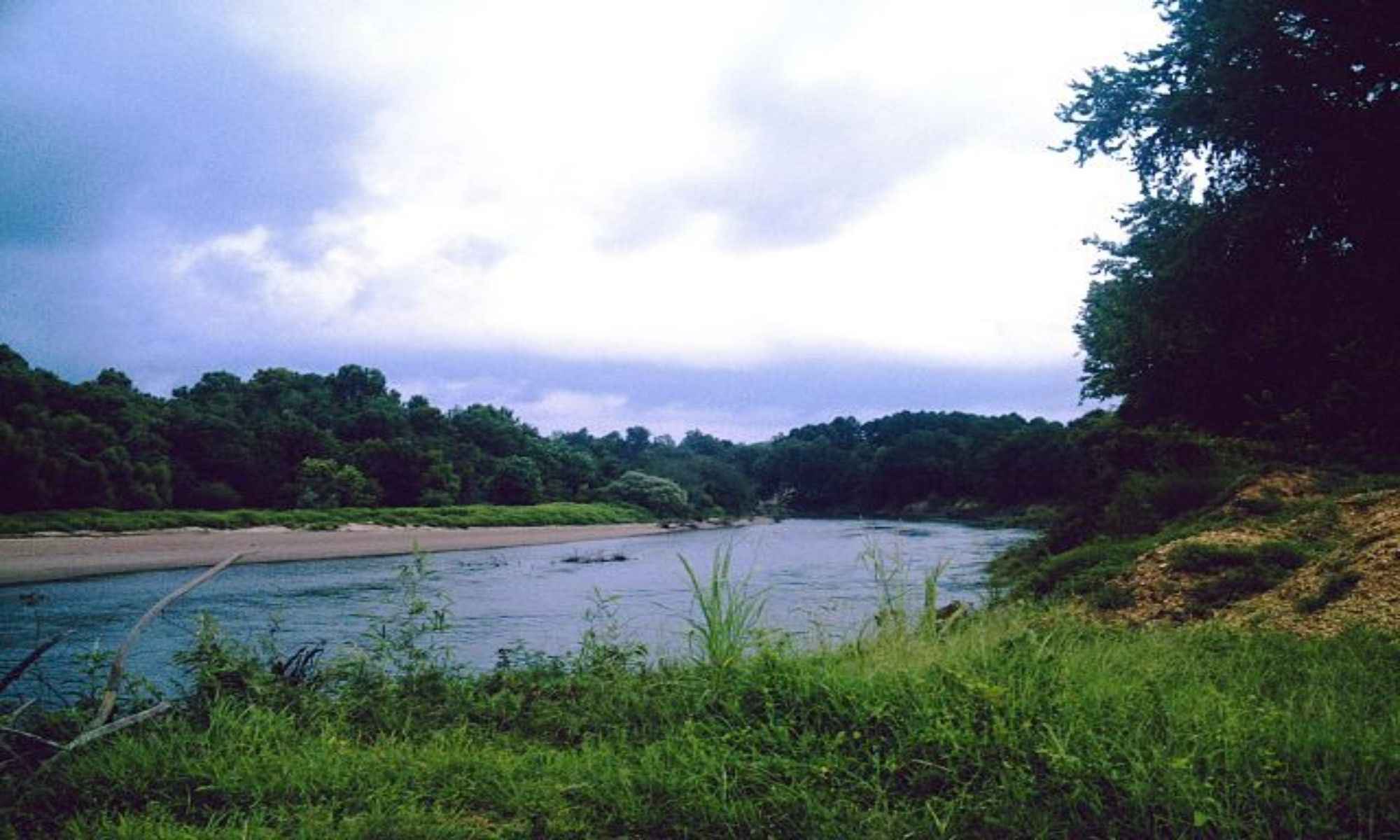 Clarks, LA Fishing: River and Lake Fishing Around a Wildlife Area