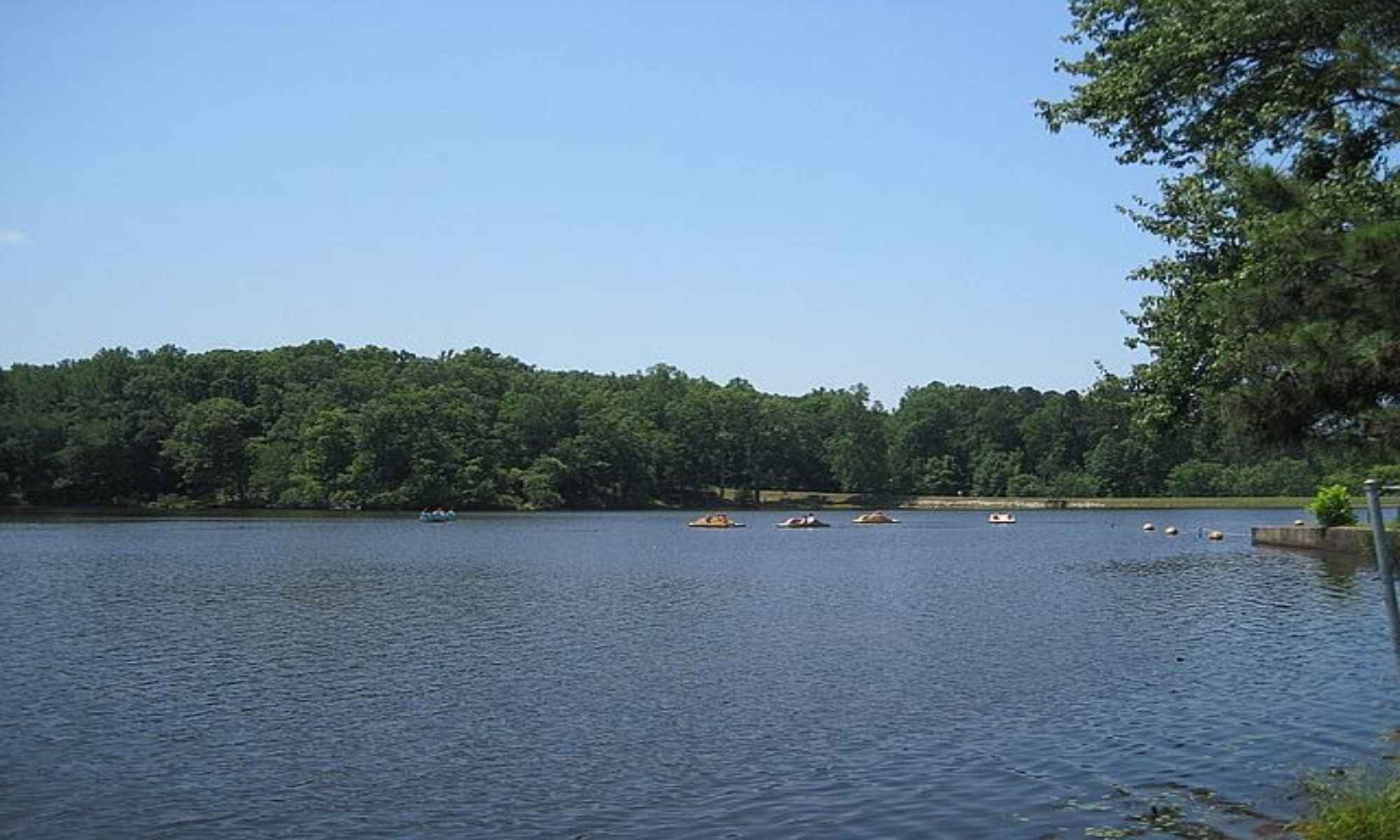 Chester, SC Fishing: Freshwater Fishing Haven in a Historic Rural City