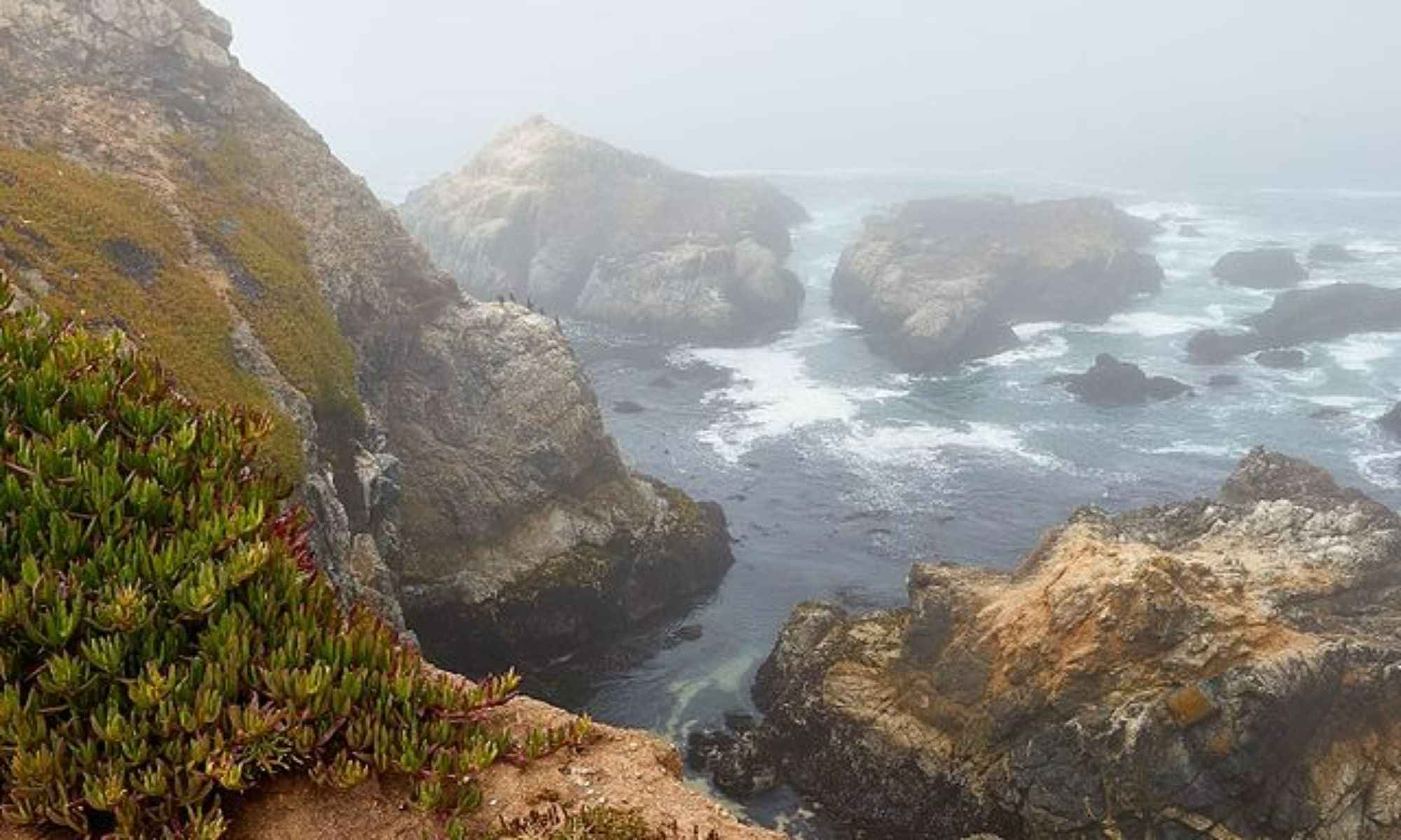 Bodega Bay, CA Fishing: Bay Fishing in the Golden State