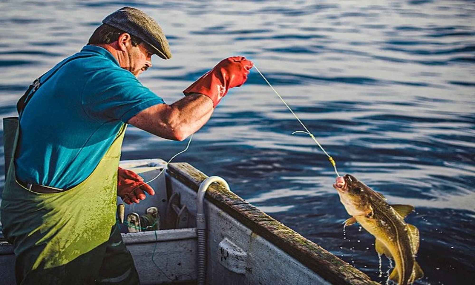 Is Handlining a Difficult Technique of Fishing?