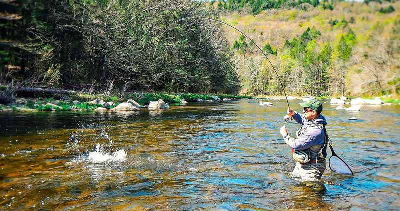 Nymphing, Introduction to the Art of Nymph Fly Fishing