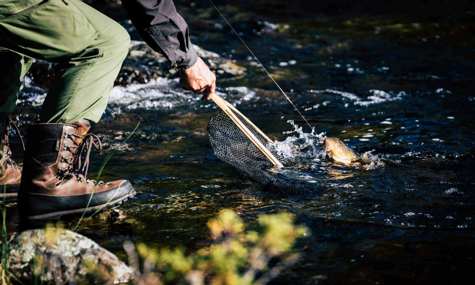 Ways to Catch Eels for Bait