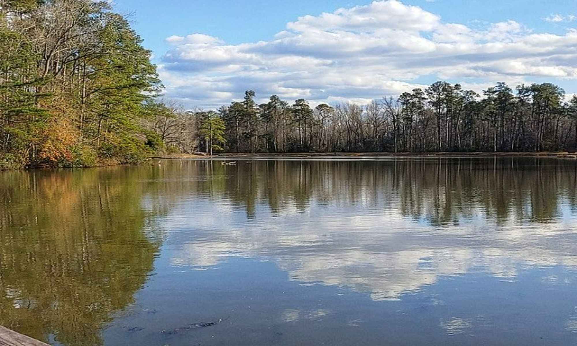 Barnwell, SC Fishing: A Homey and Inviting Experience