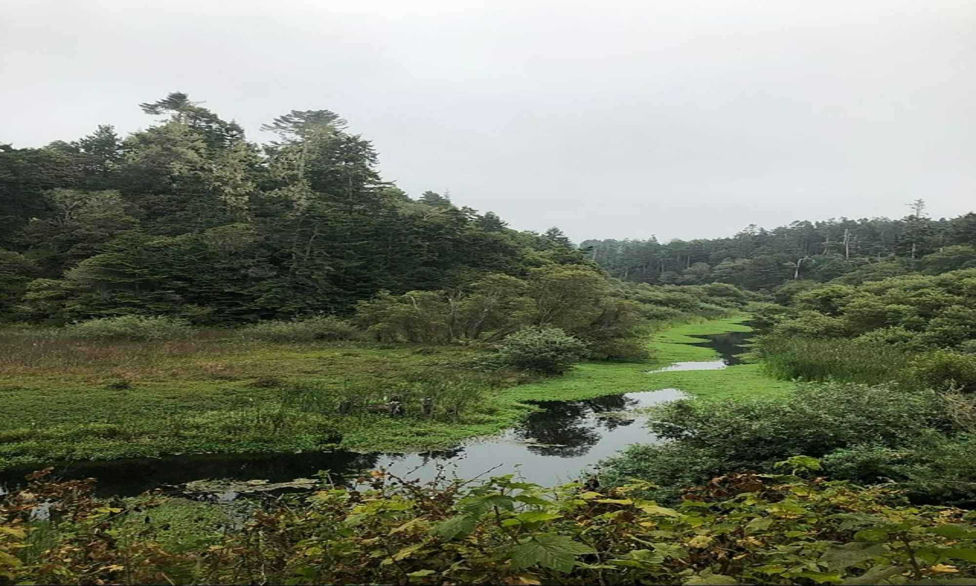 Mendocino Village, CA Fishing: Astonishing Coast