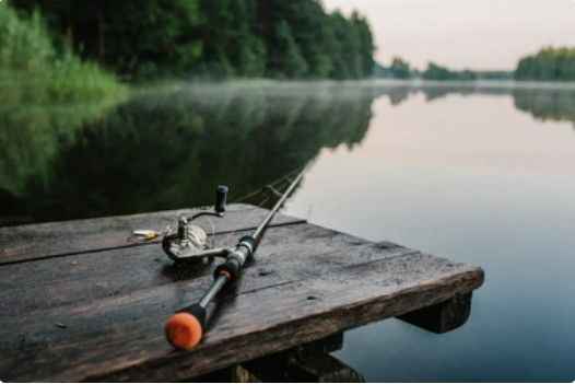 A Beginner's Guide To Freshwater Fishing