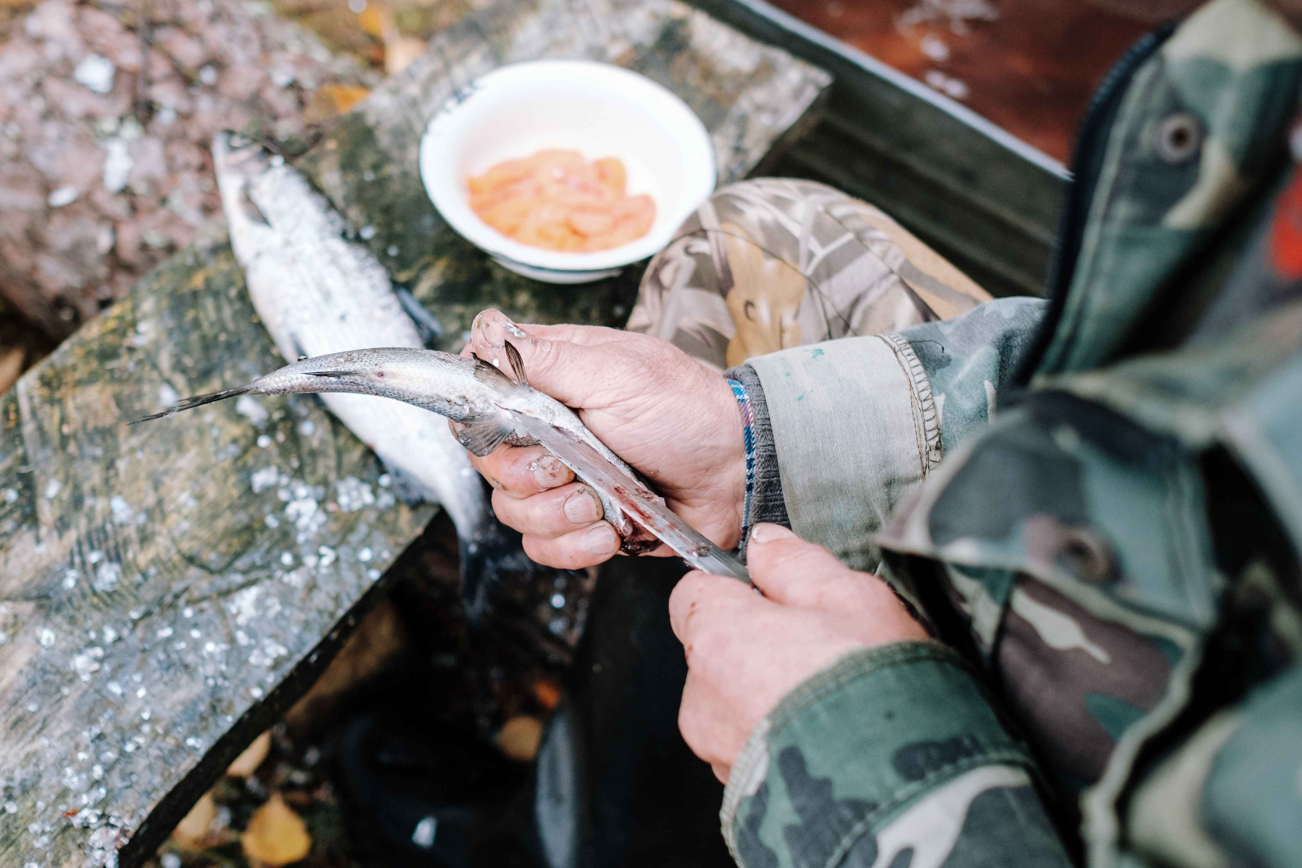 How to Secure the Best Fishing Experience on a Tight Schedule