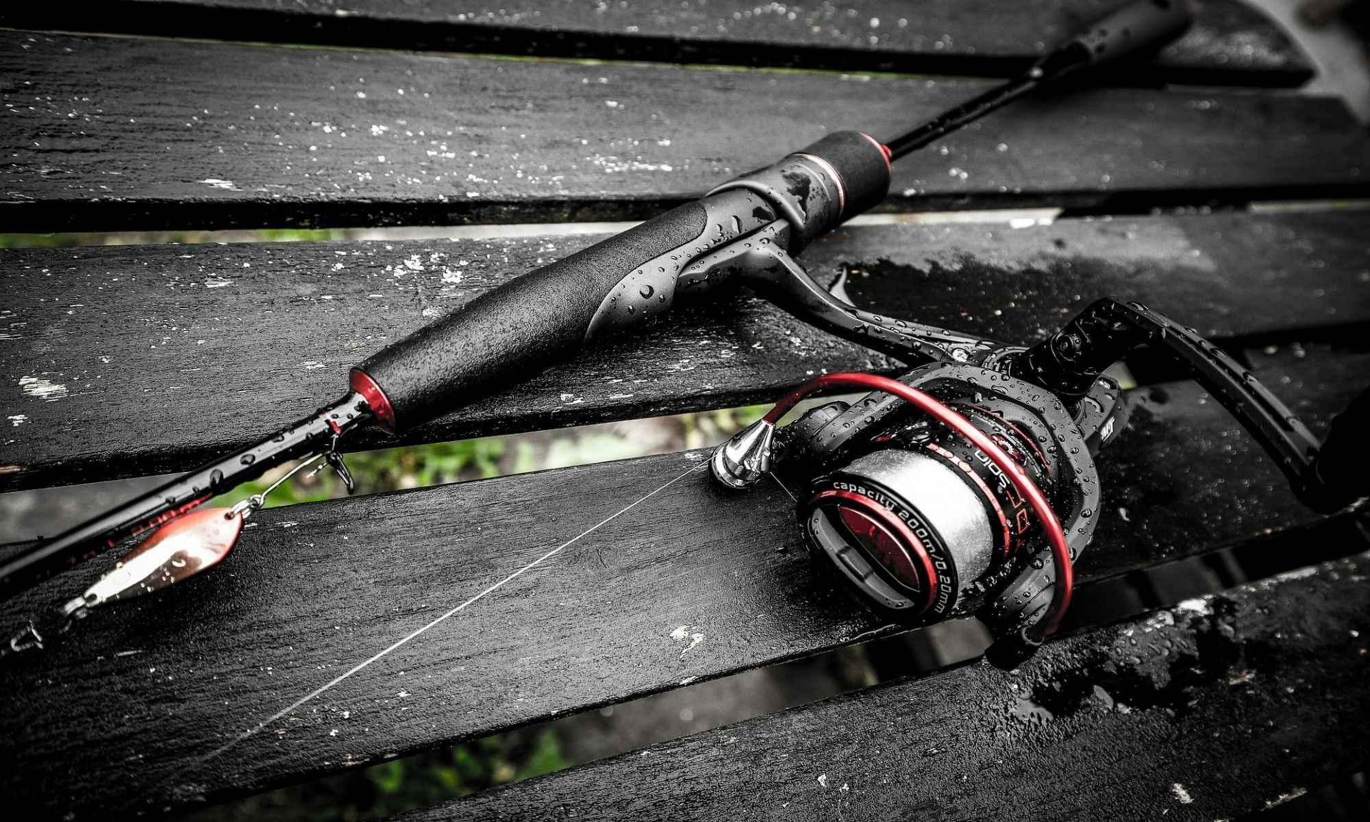 Top 10 Best Fishing Rods for Buoy 10