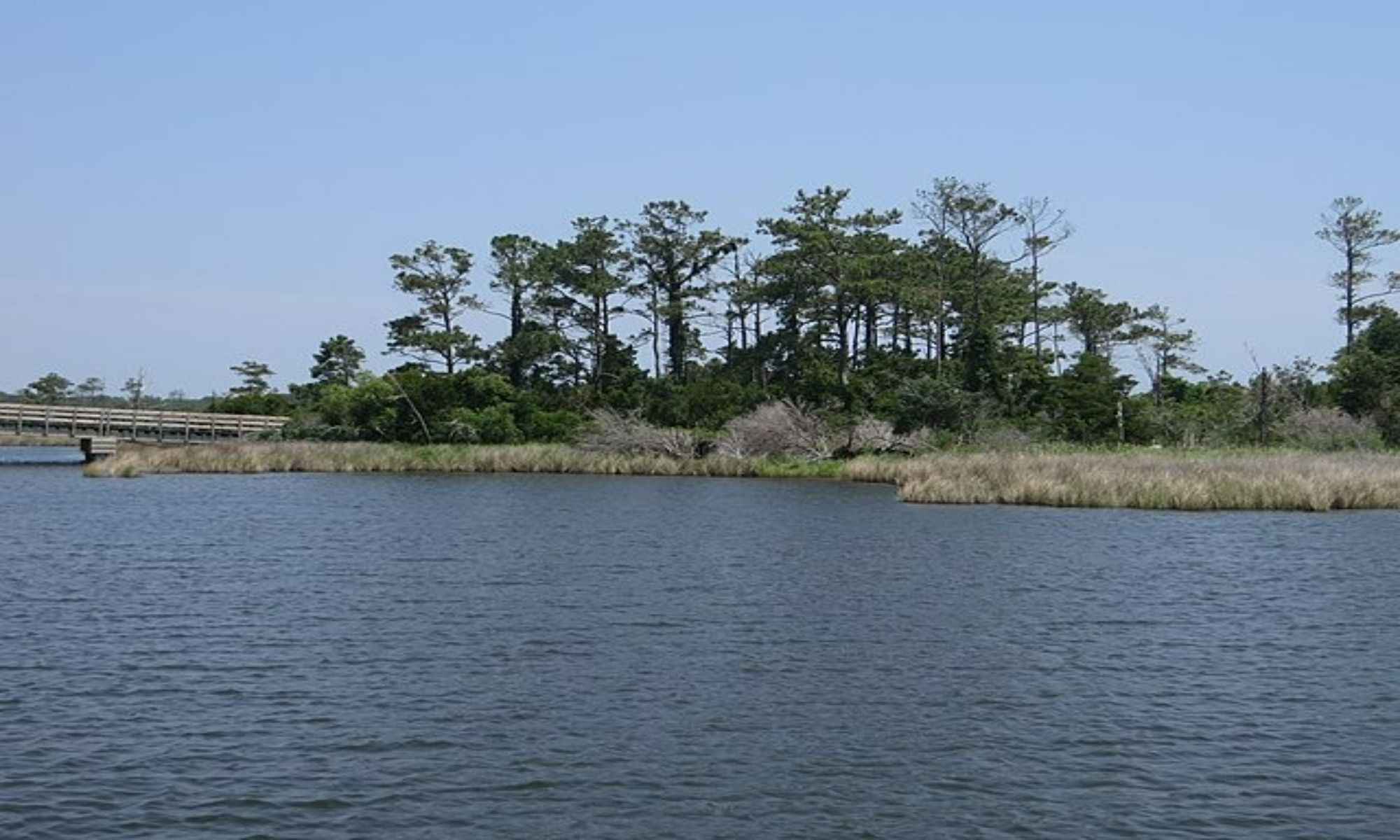 Book Your Fishing Charter in Manteo, NC