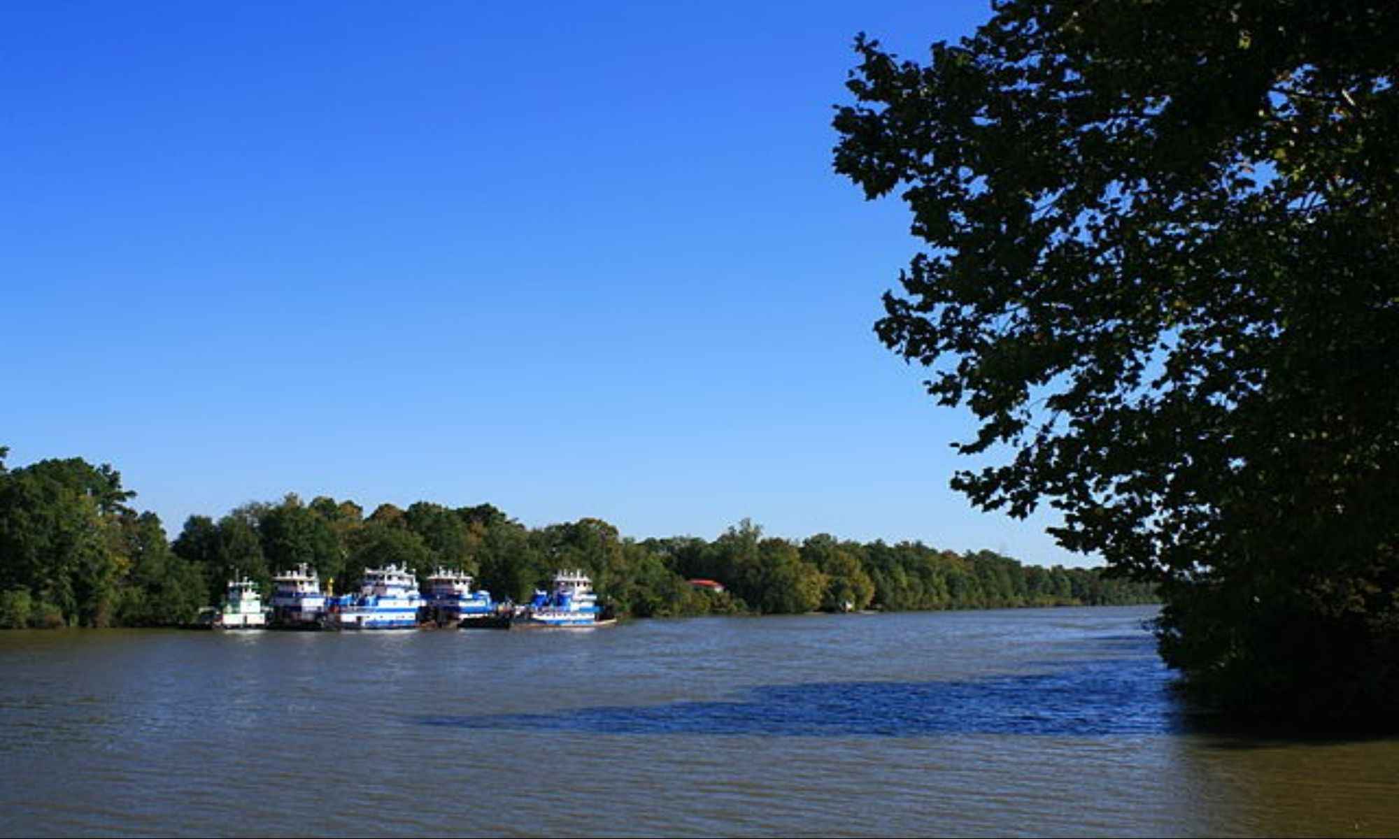 Book Your Fishing Charter in Akron, AL