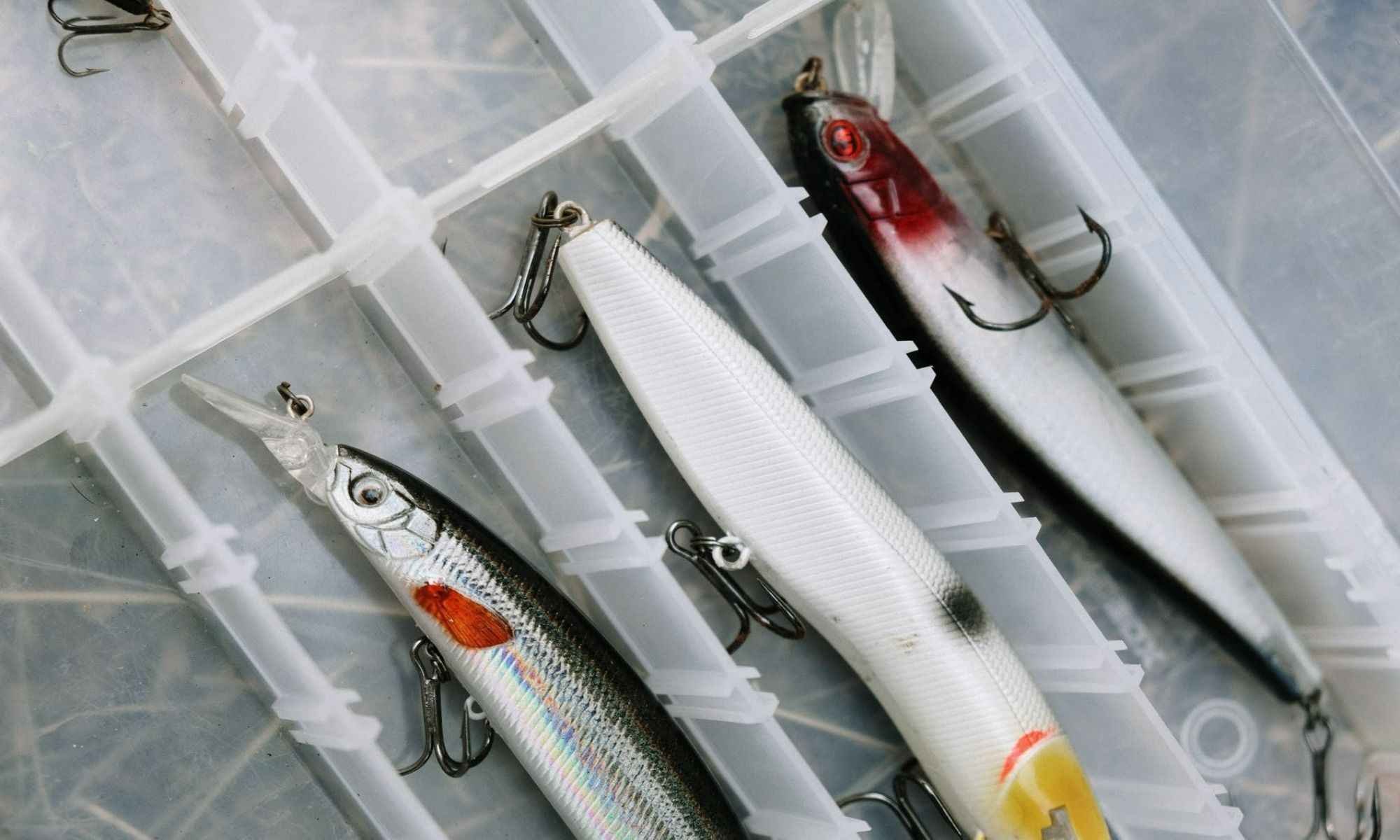 Ice Fishing Lures: How to Choose the Best Colors