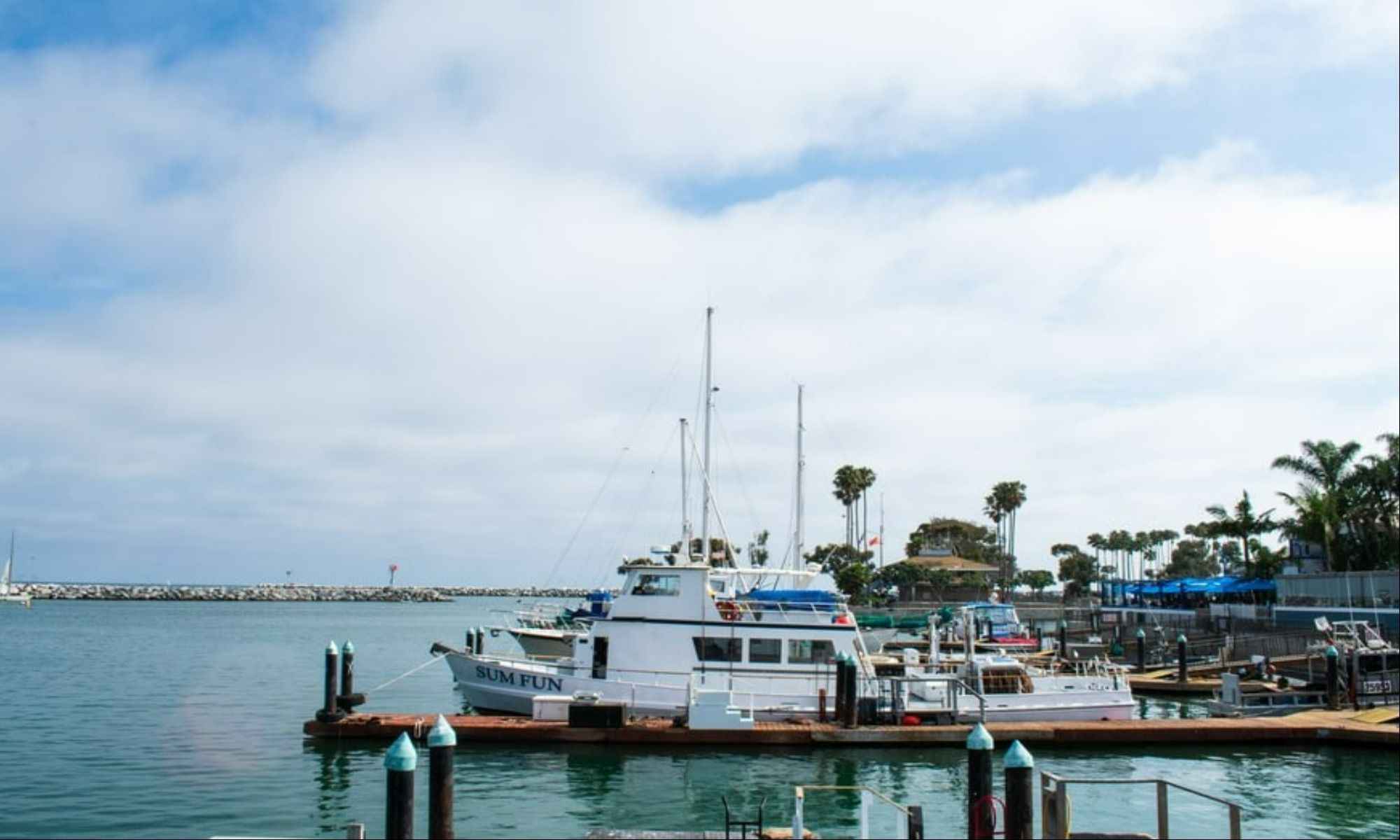 Book Your Fishing Charter in Dana Point, CA