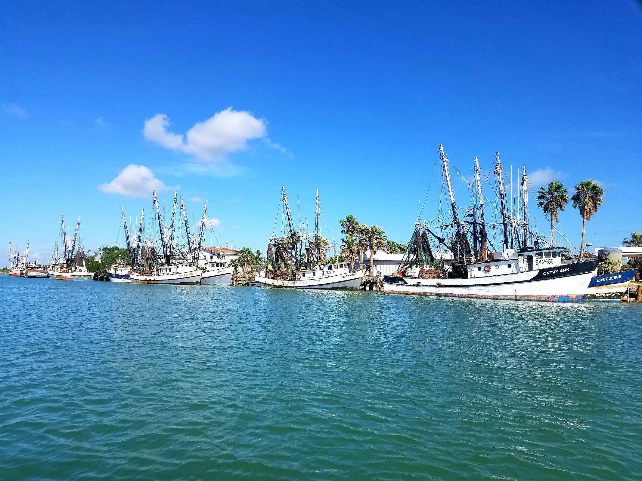 Book Your Fishing Charter in Port Isabel, TX