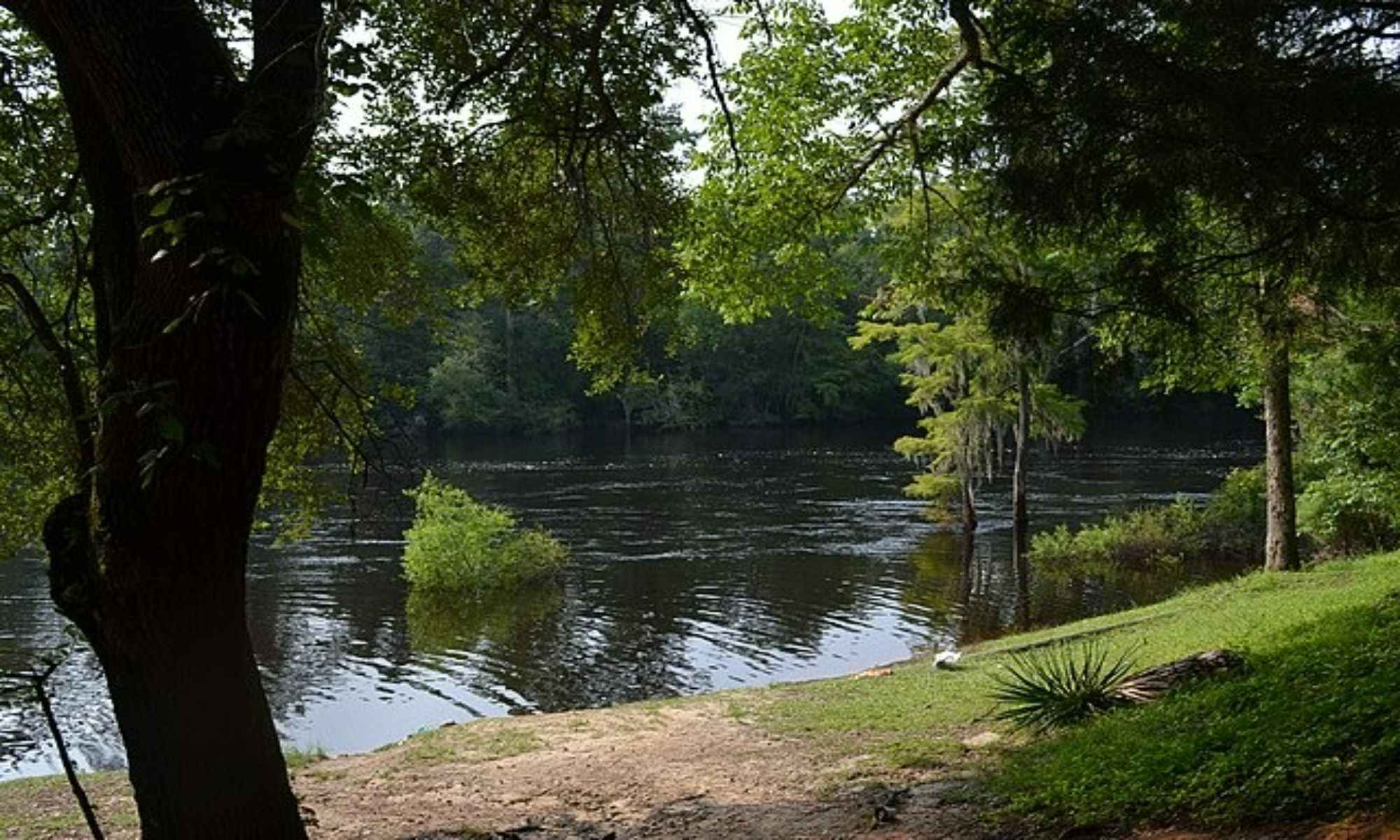 Bennettsville, SC Fishing: Lake Fishing At Its Best