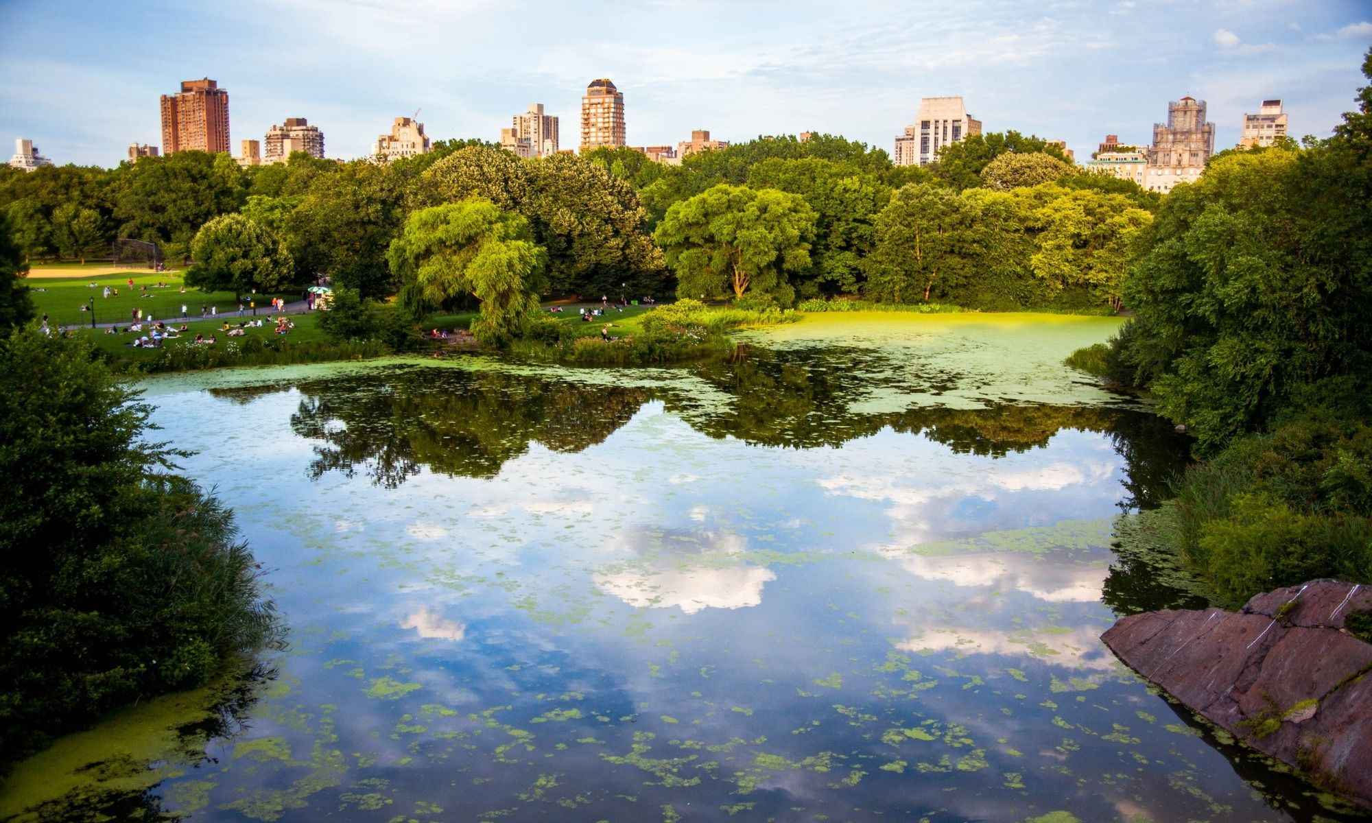 Book Your Fishing Charter in Central Park, NY