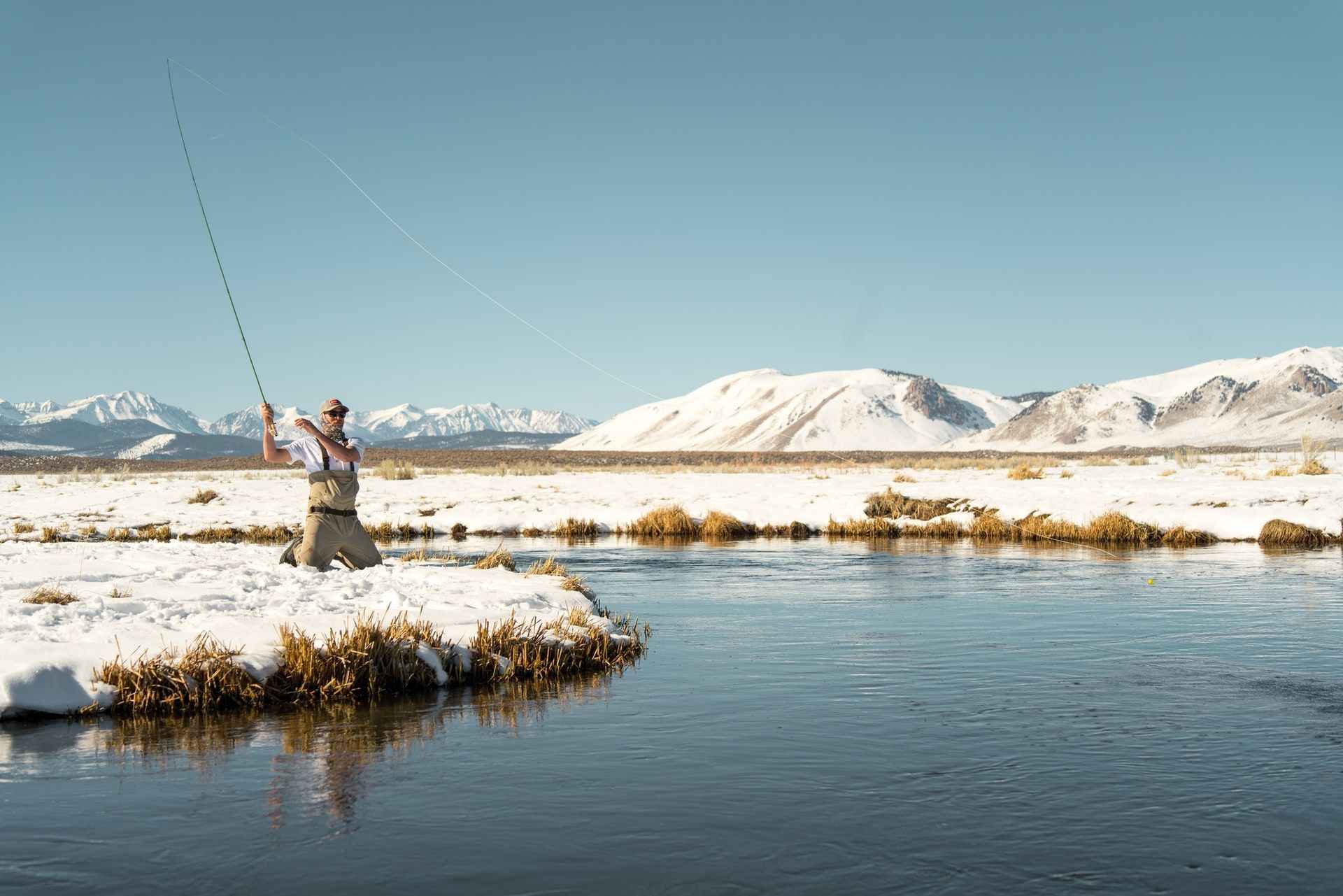 Winter Fly Fishing: What to Catch This Season