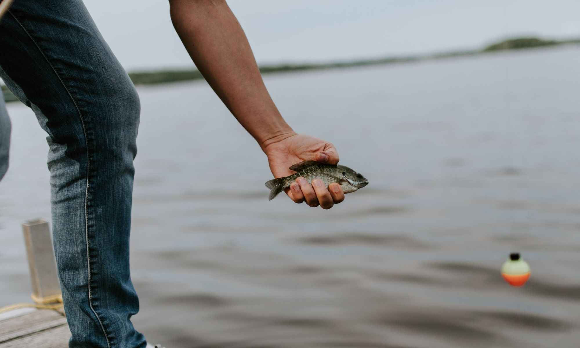 10 Ways to Catch Bluegill