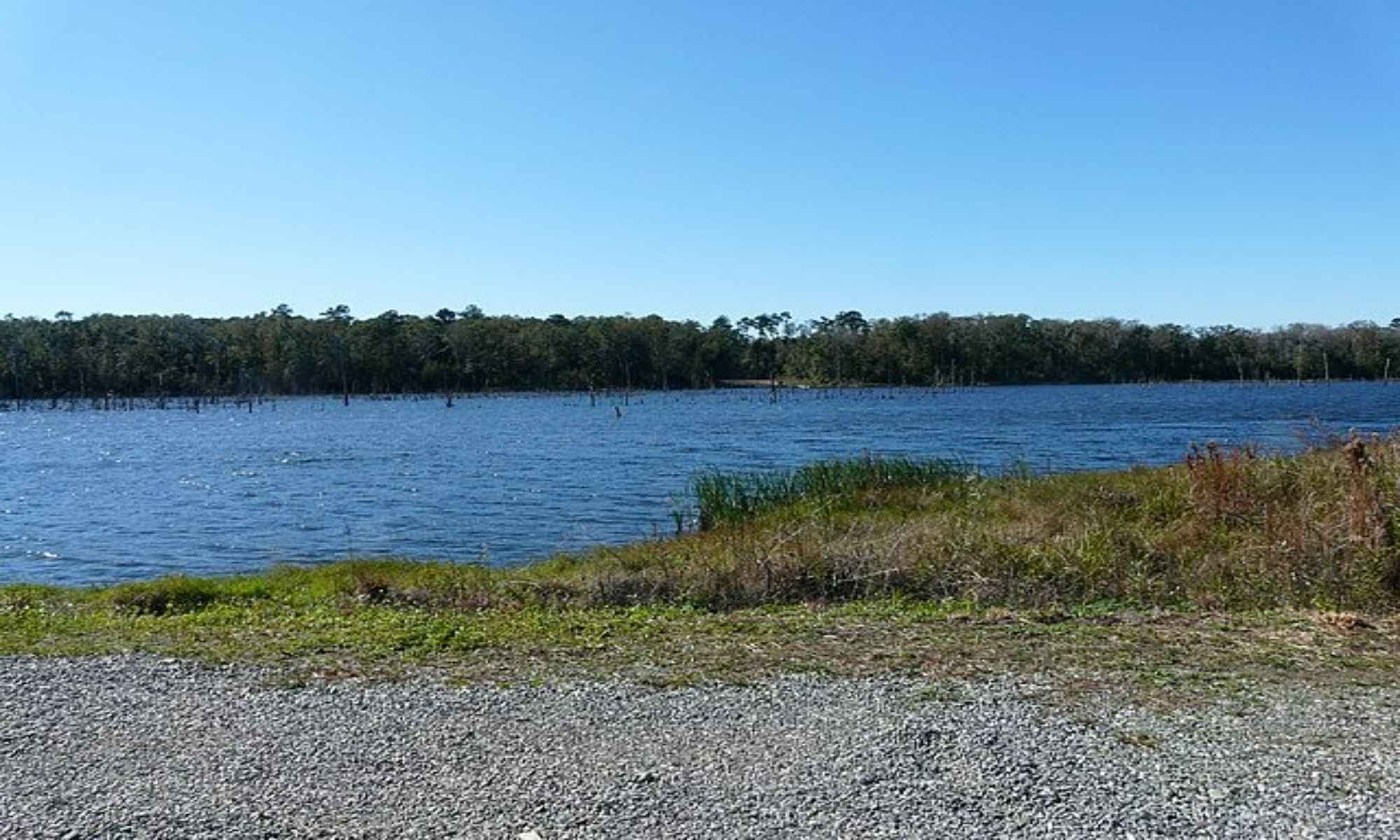 Bainbridge, GA Fishing: Beauty of the Old South