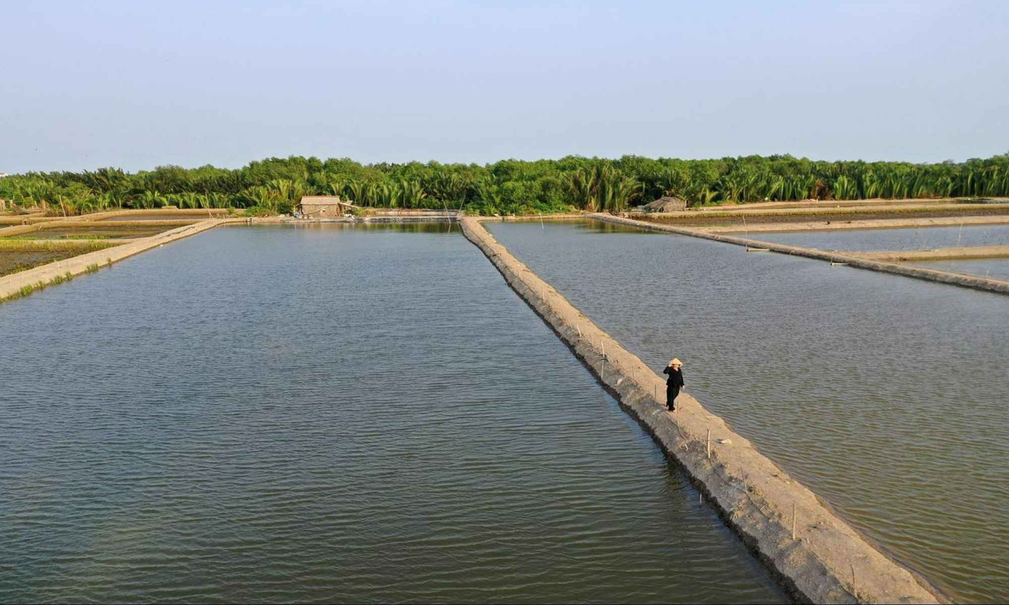 Field and Stream Fishing