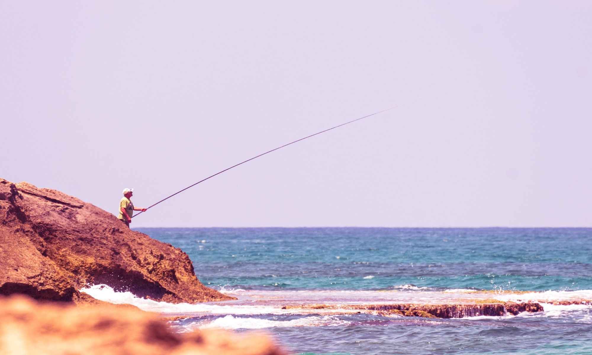 Bank Fishing 101: Tips and Tricks to Successfully Catch Fish from