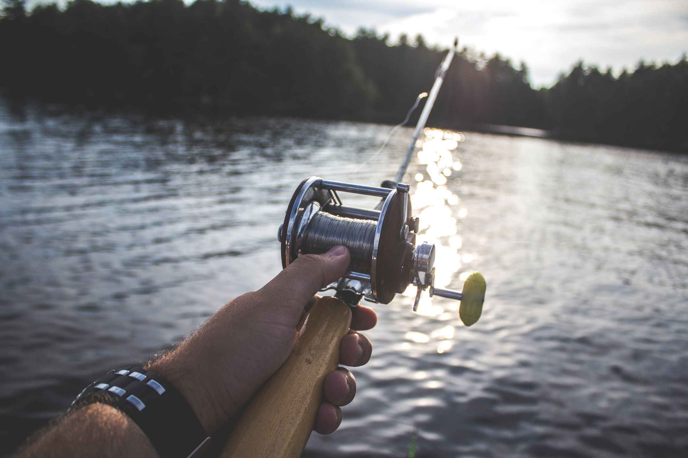 How Fishing Supports your Immune System